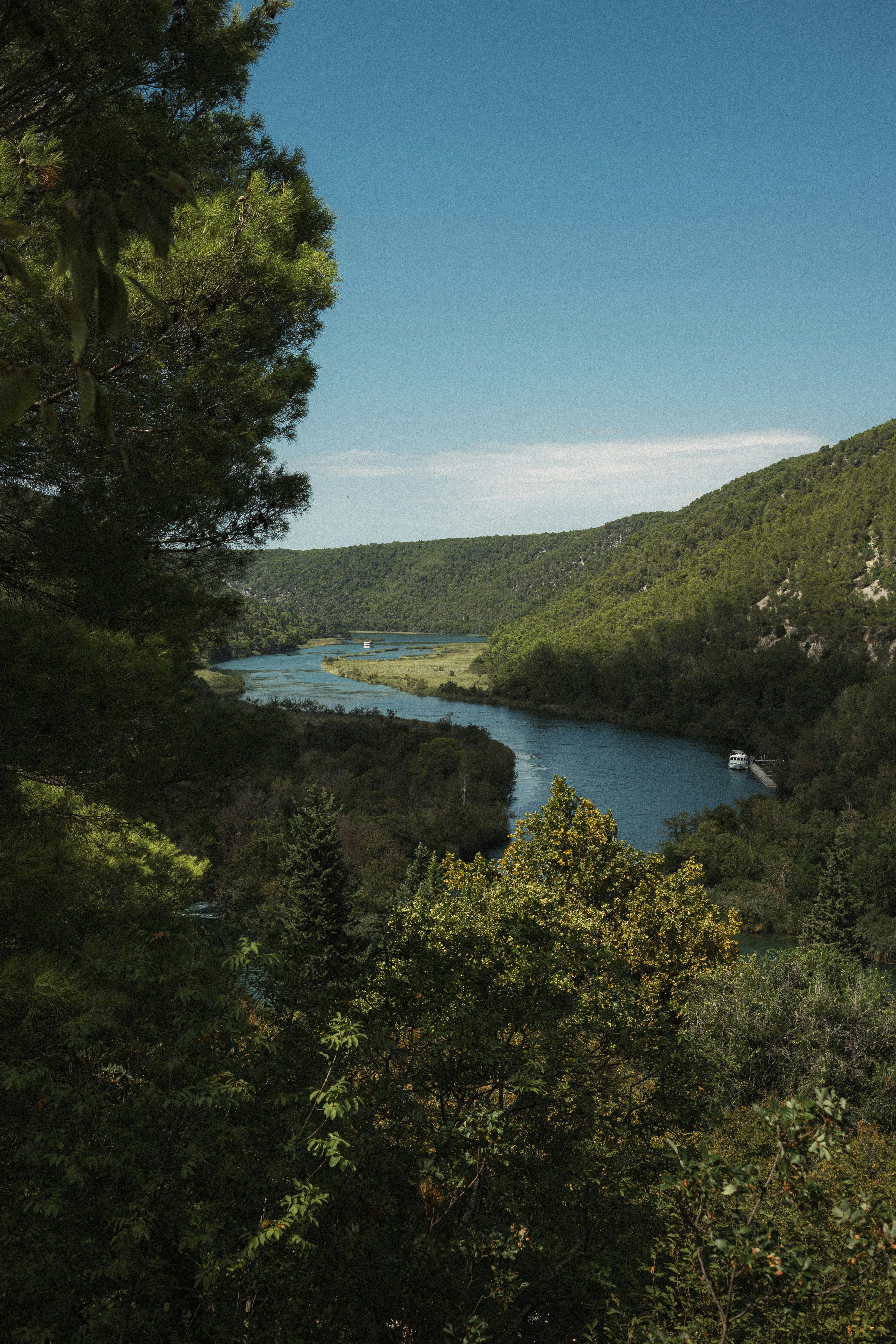 Photo by throughalekslens