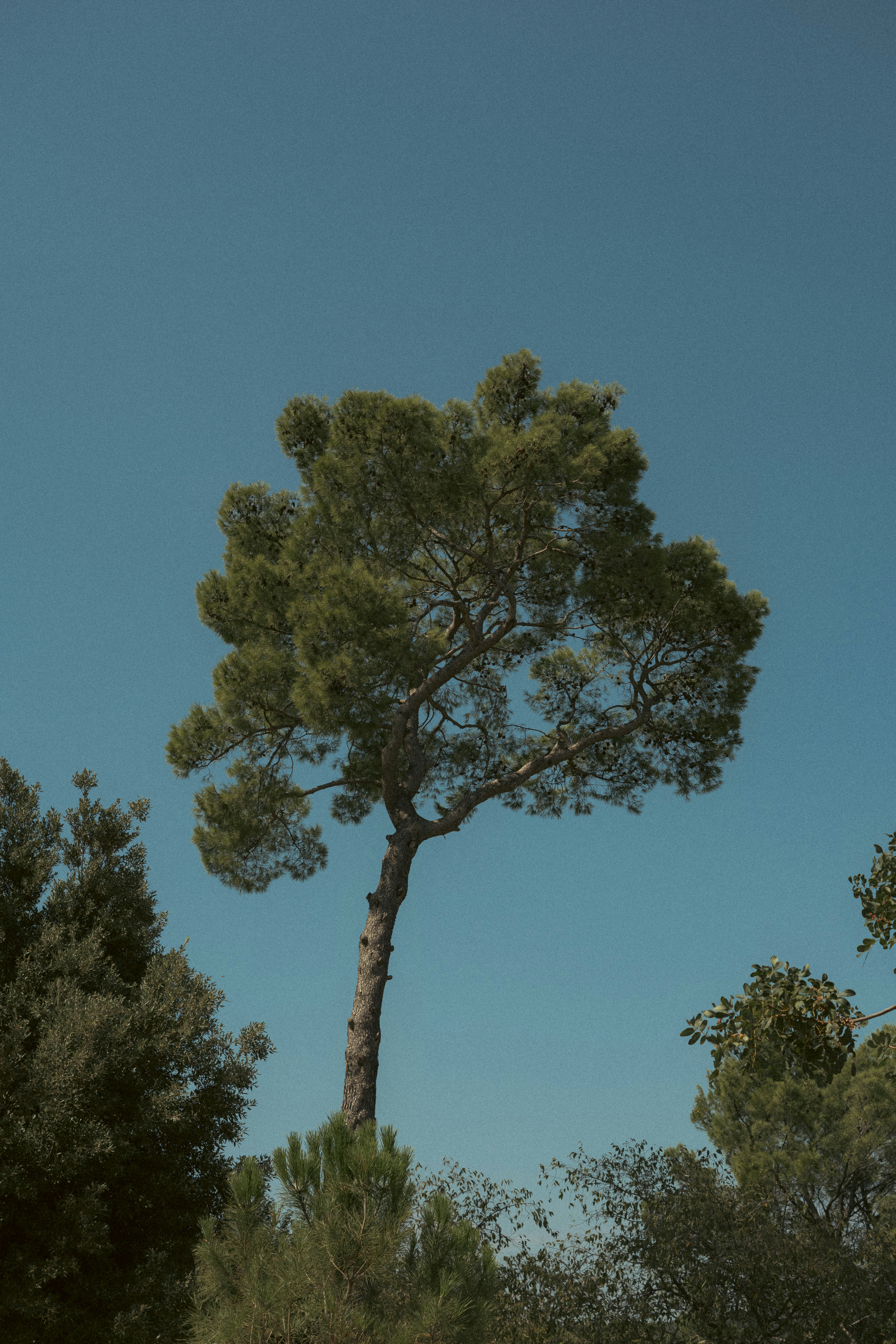 Photo by throughalekslens