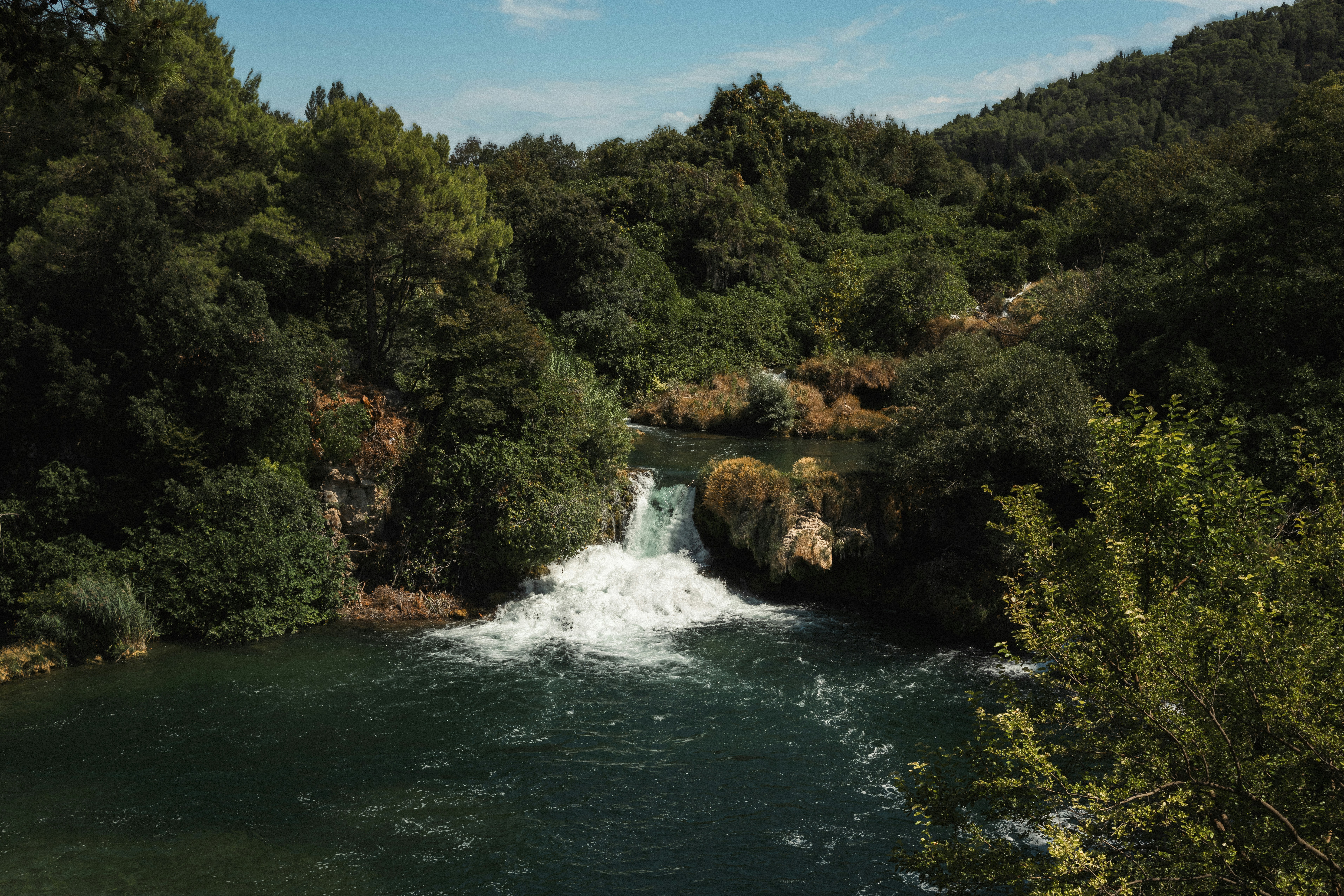 Photo by throughalekslens