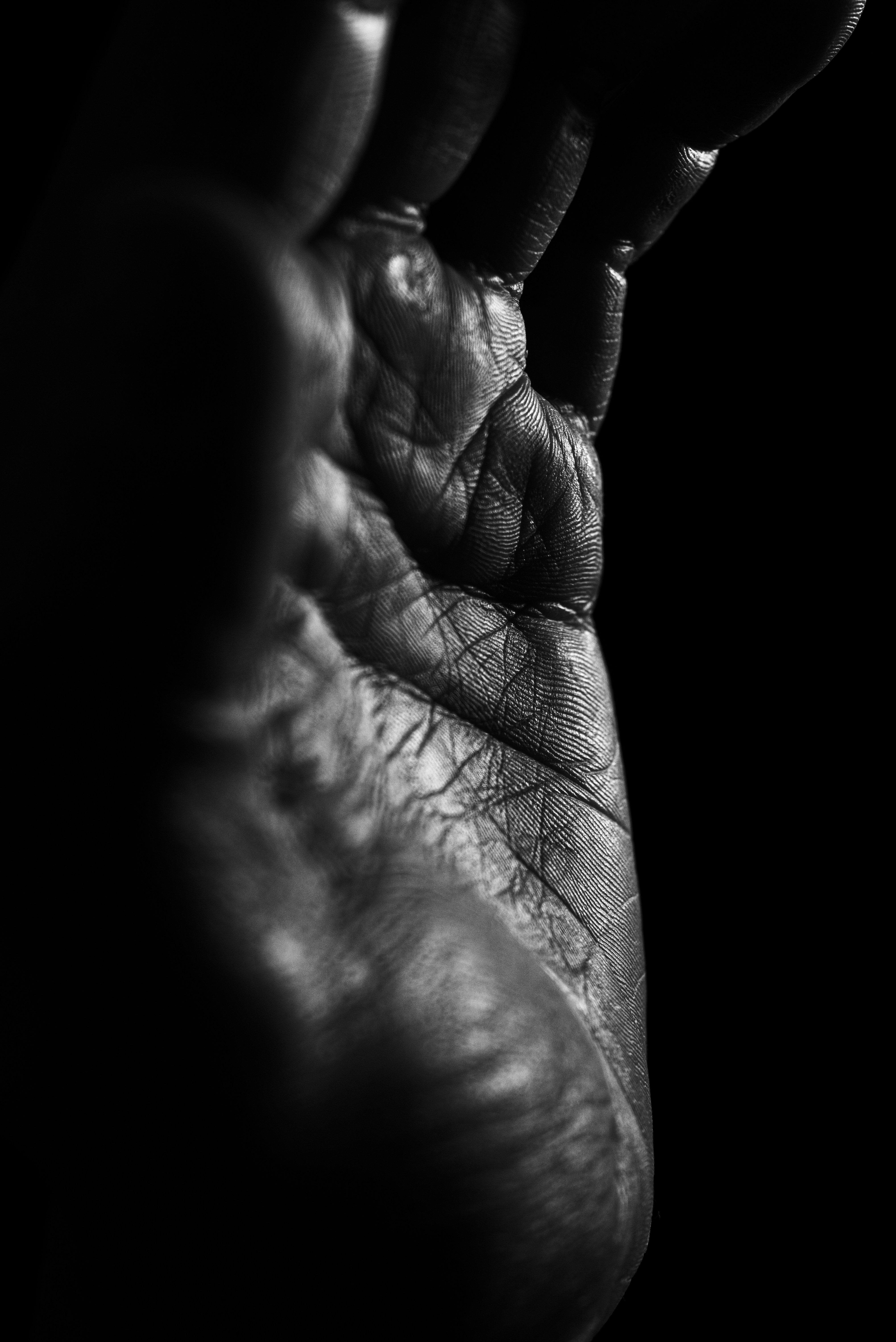 Photo by andrilliardbond