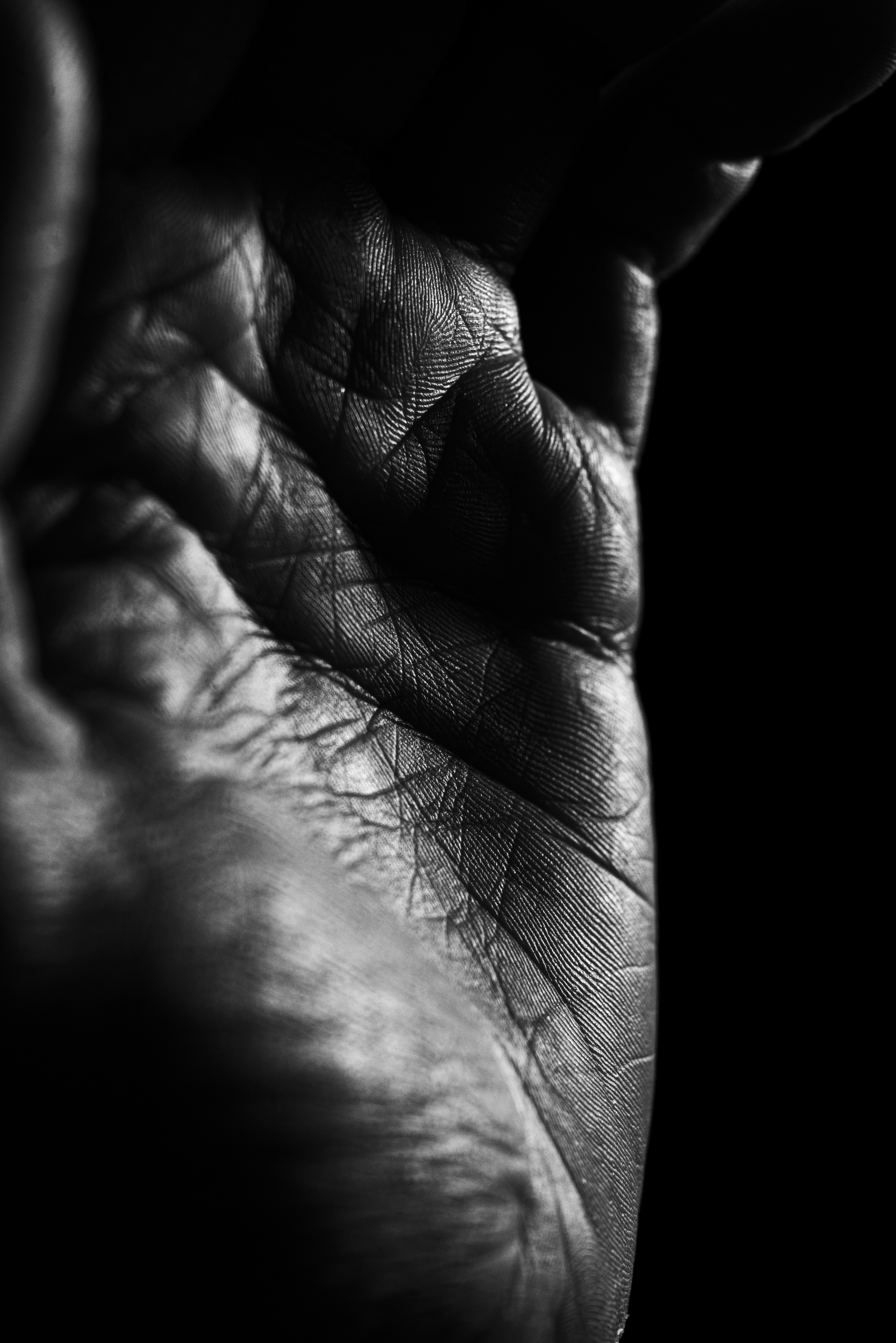 Photo by andrilliardbond