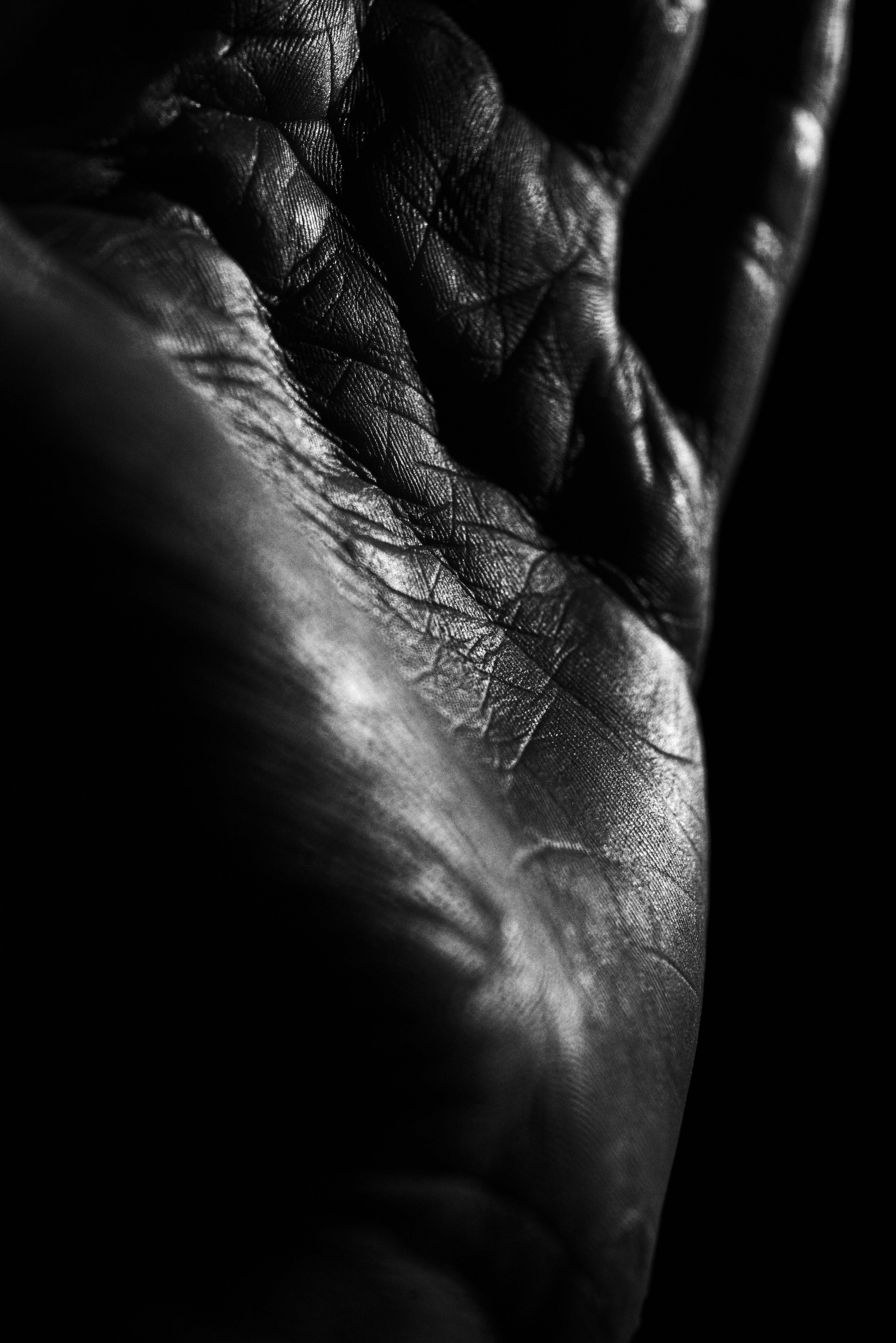 Photo by andrilliardbond