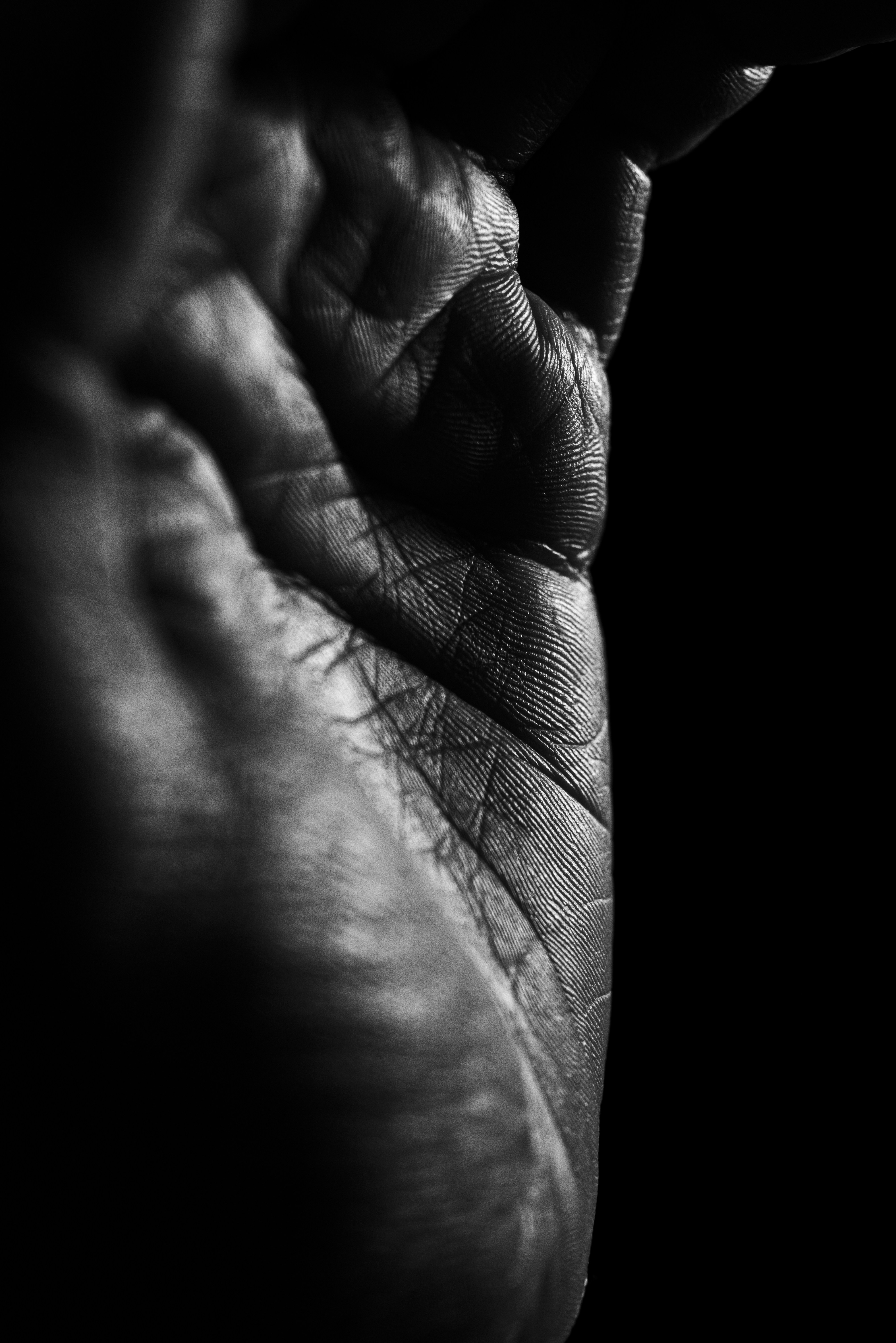 Photo by andrilliardbond