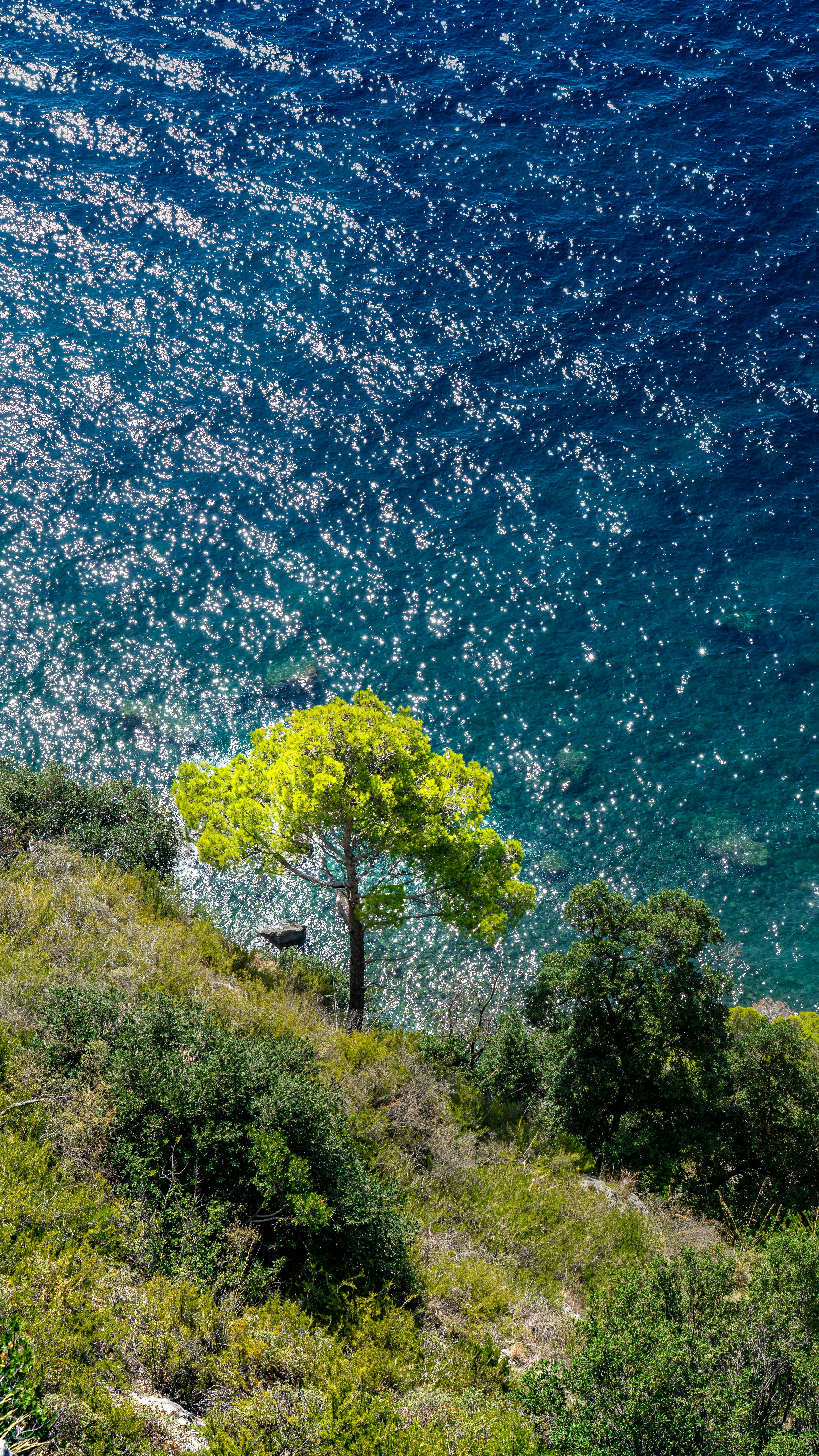 Photo by antoniocangianiello