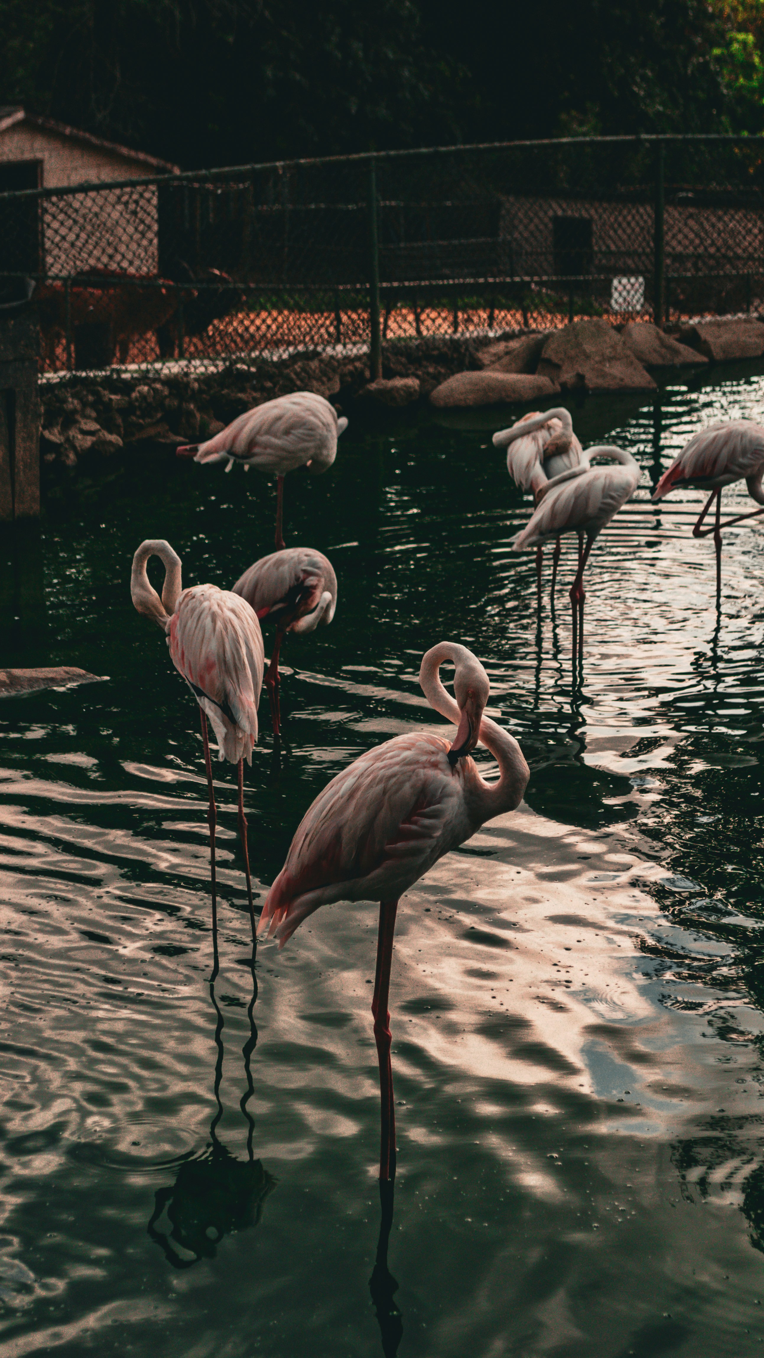 Photo by tunahankuzgun