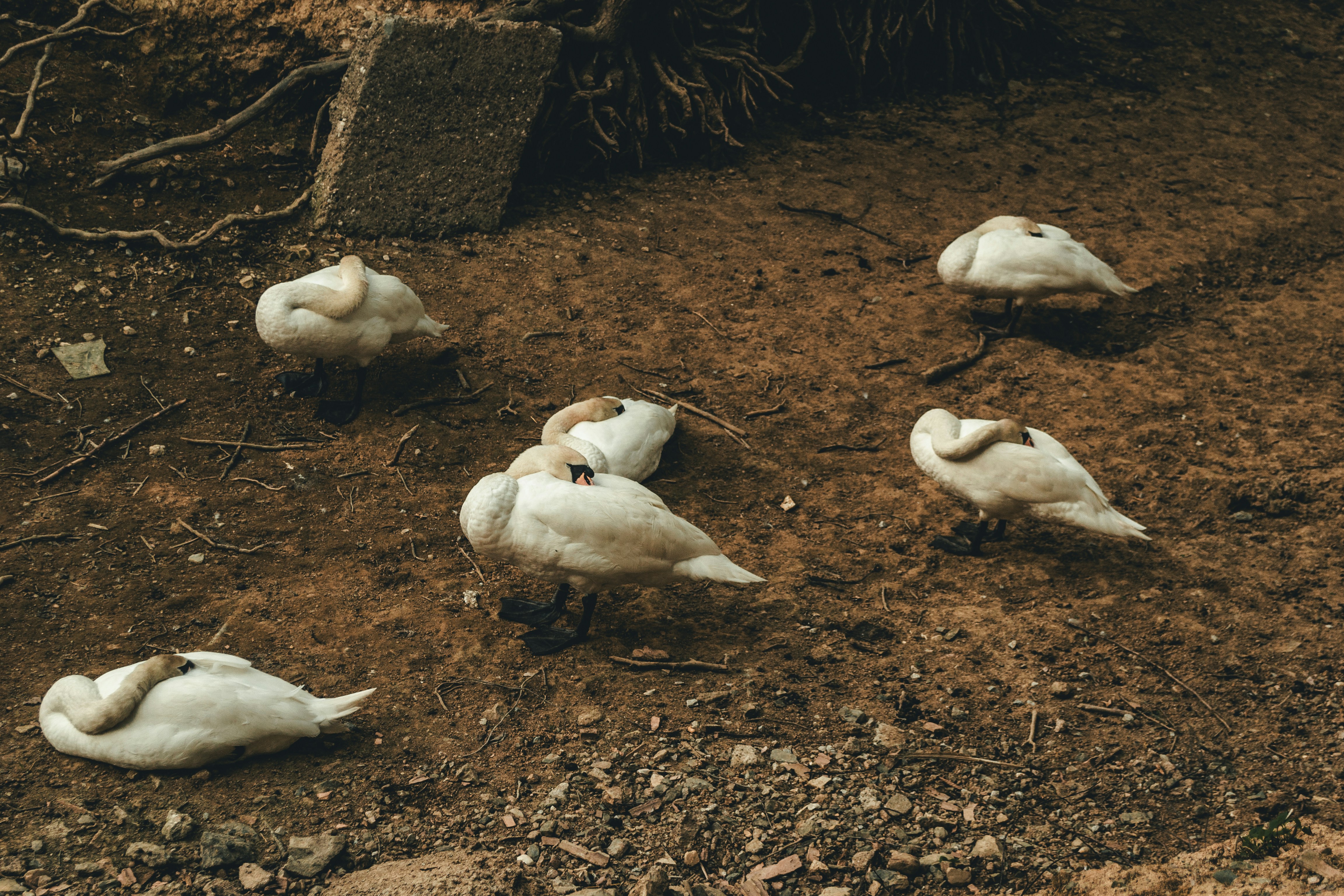 Photo by tunahankuzgun