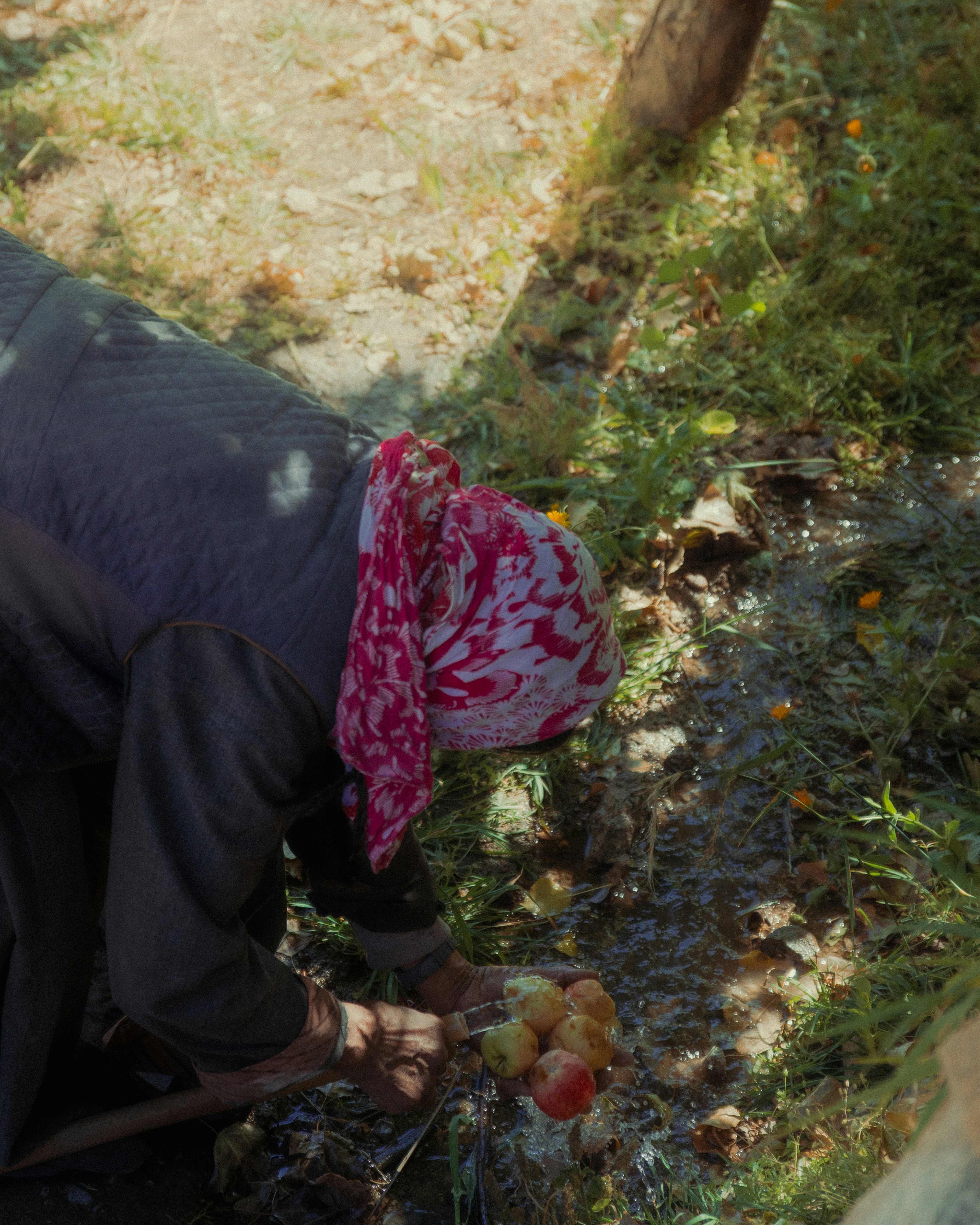 Photo by amritdasauto