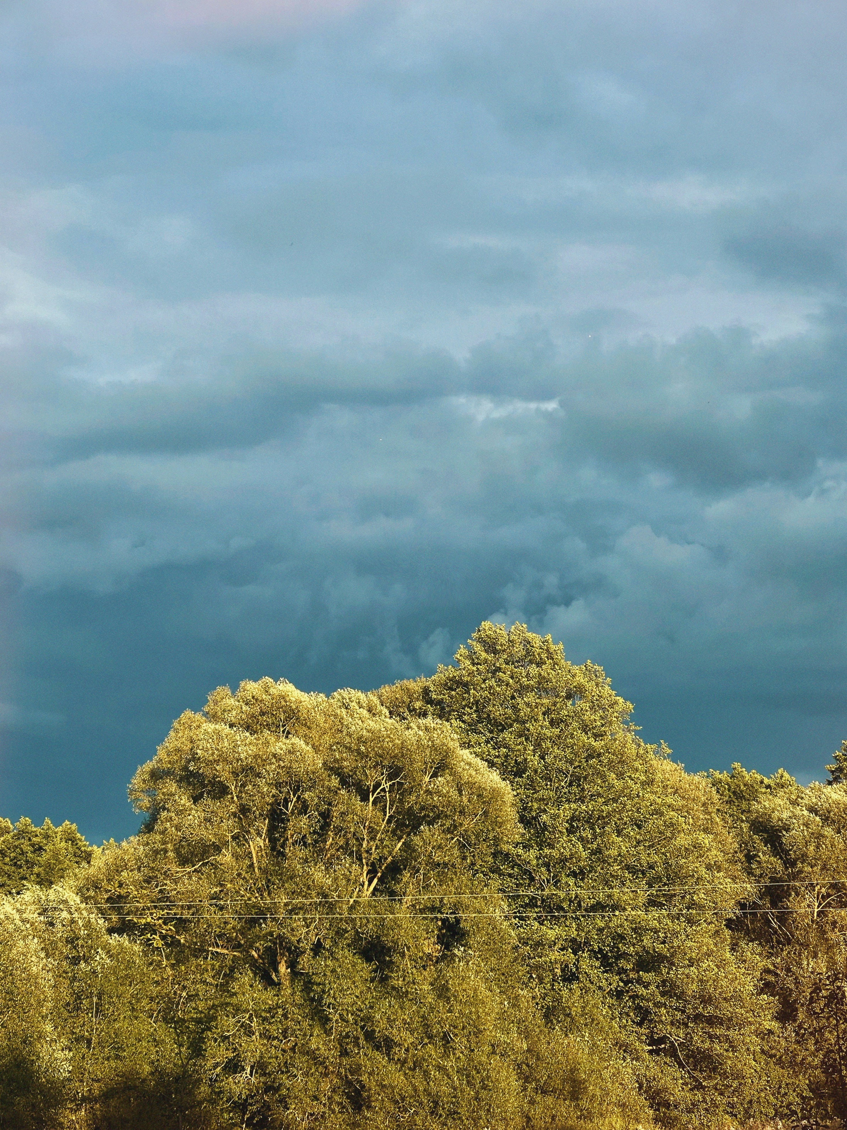 Photo by inna_lobacheva