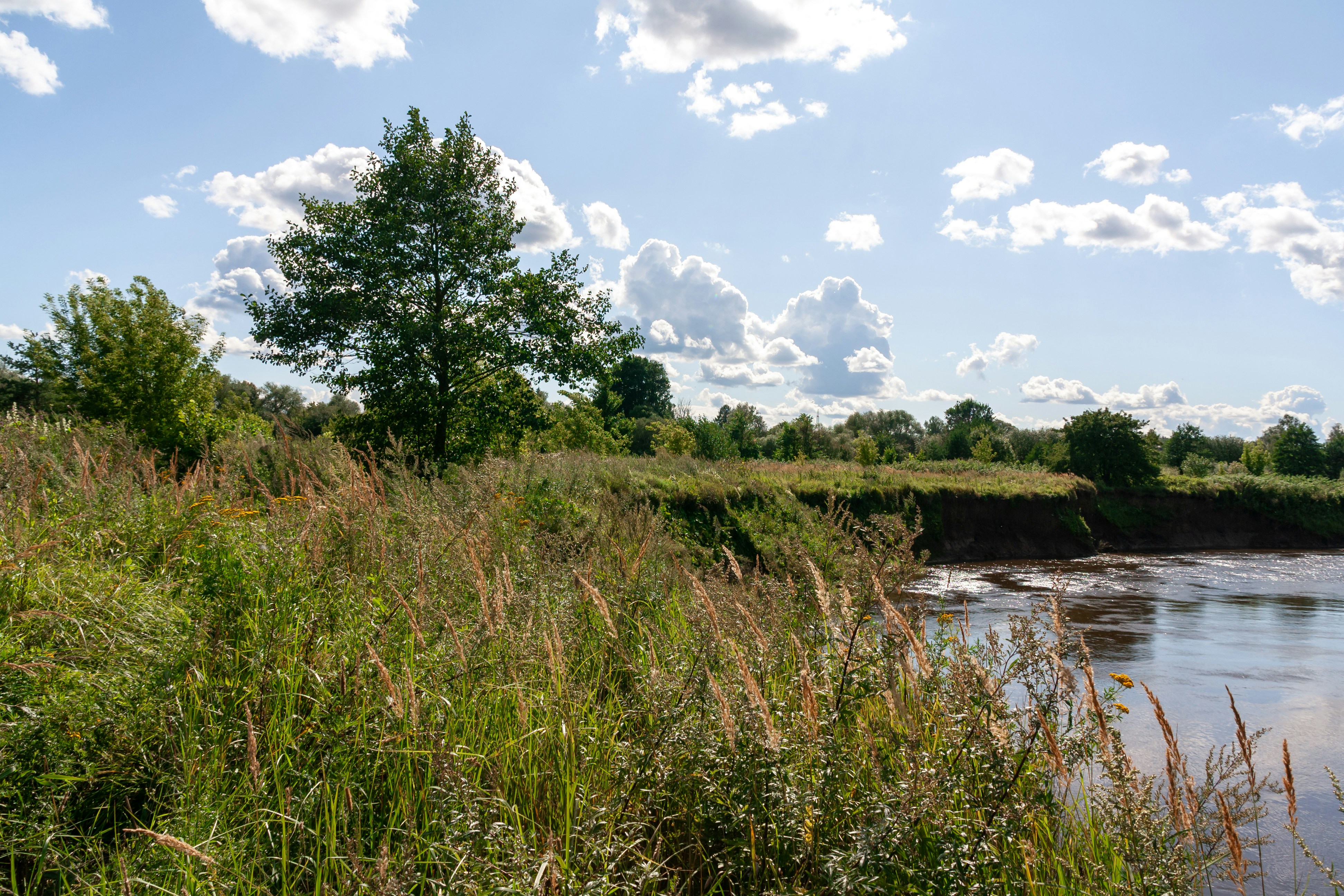 Photo by kulikovnik2