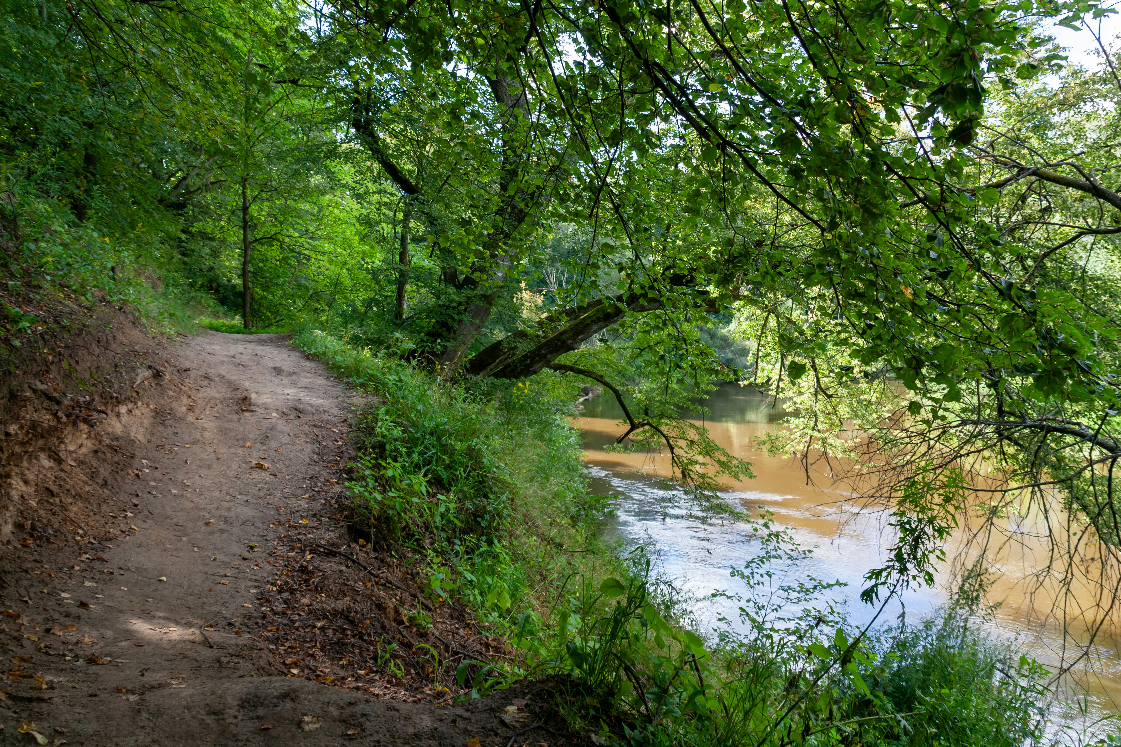 Photo by kulikovnik2