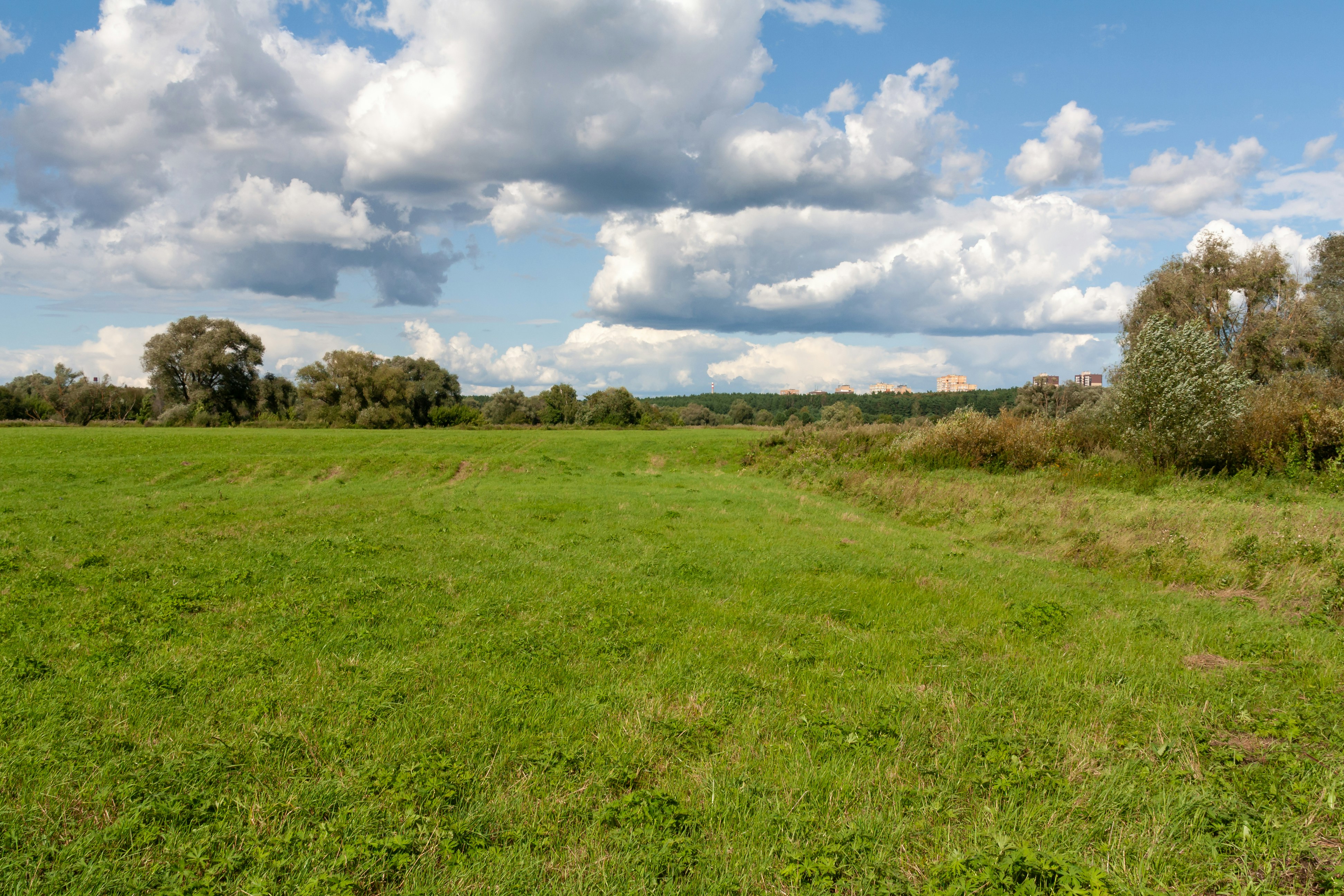 Photo by kulikovnik2