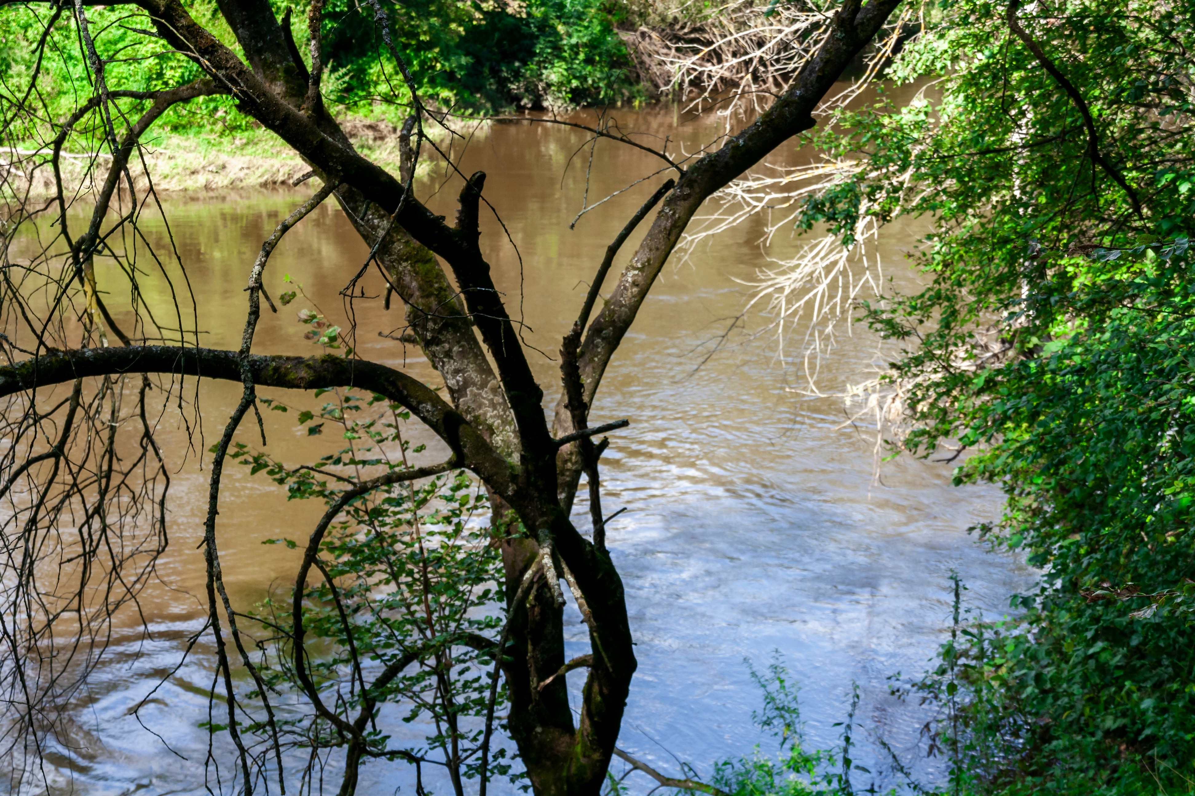 Photo by kulikovnik2