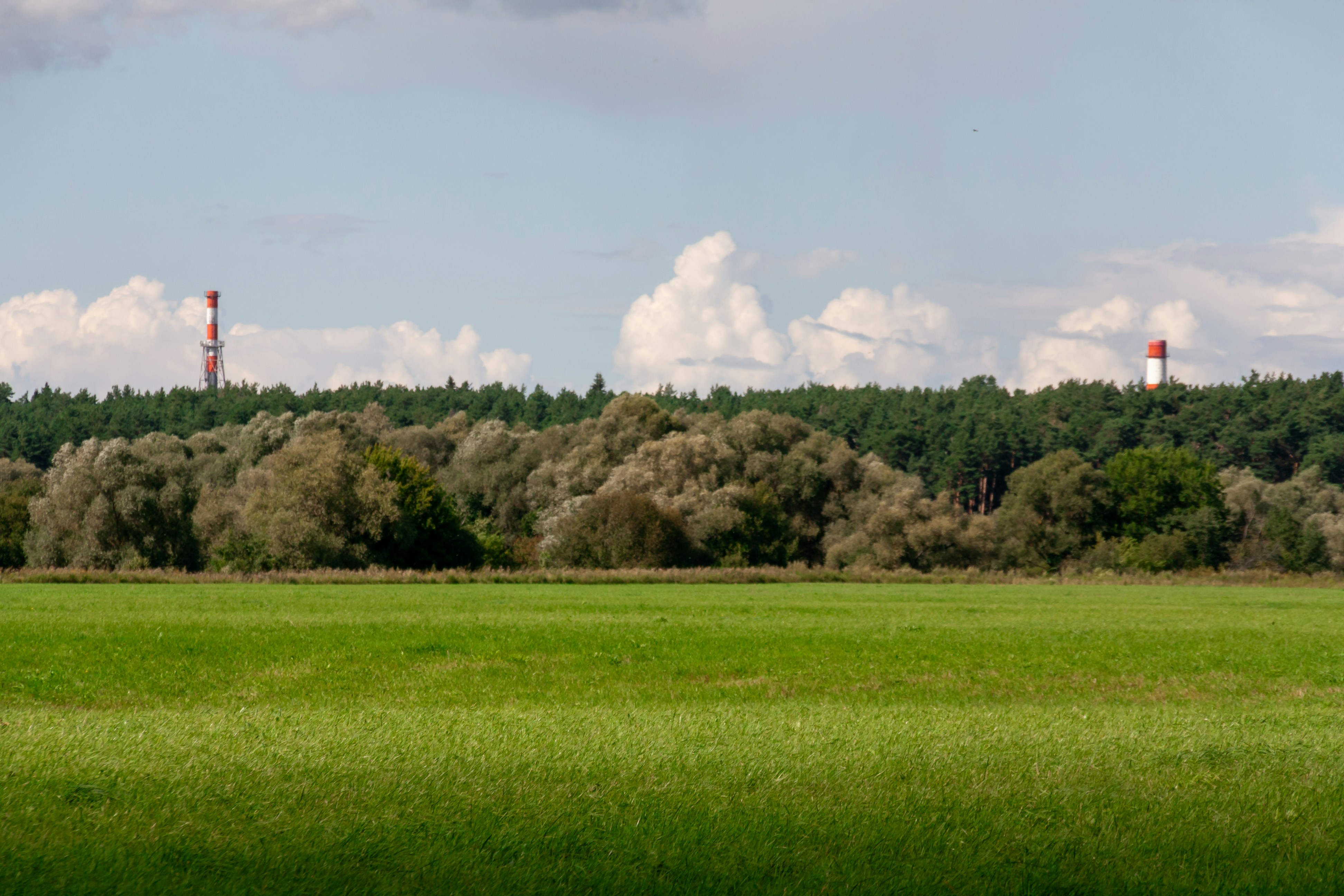 Photo by kulikovnik2