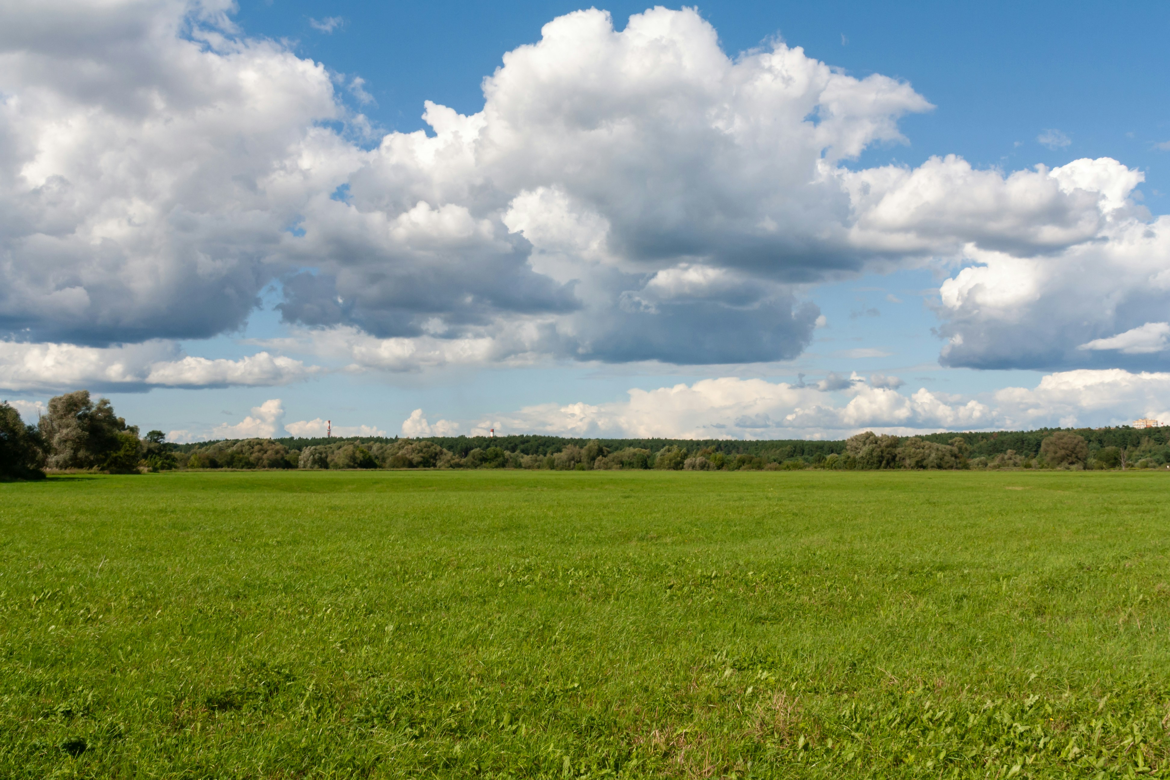 Photo by kulikovnik2