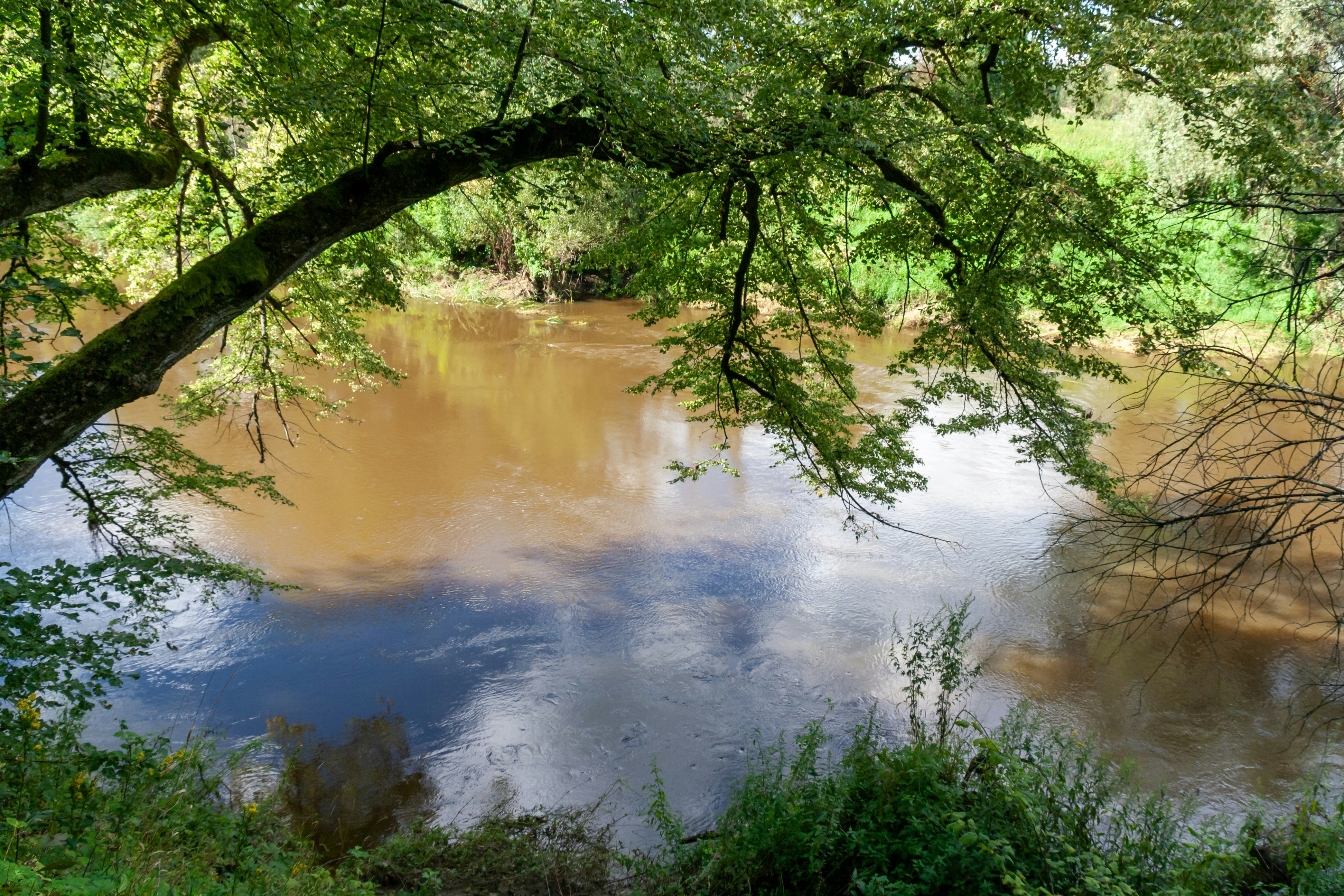 Photo by kulikovnik2