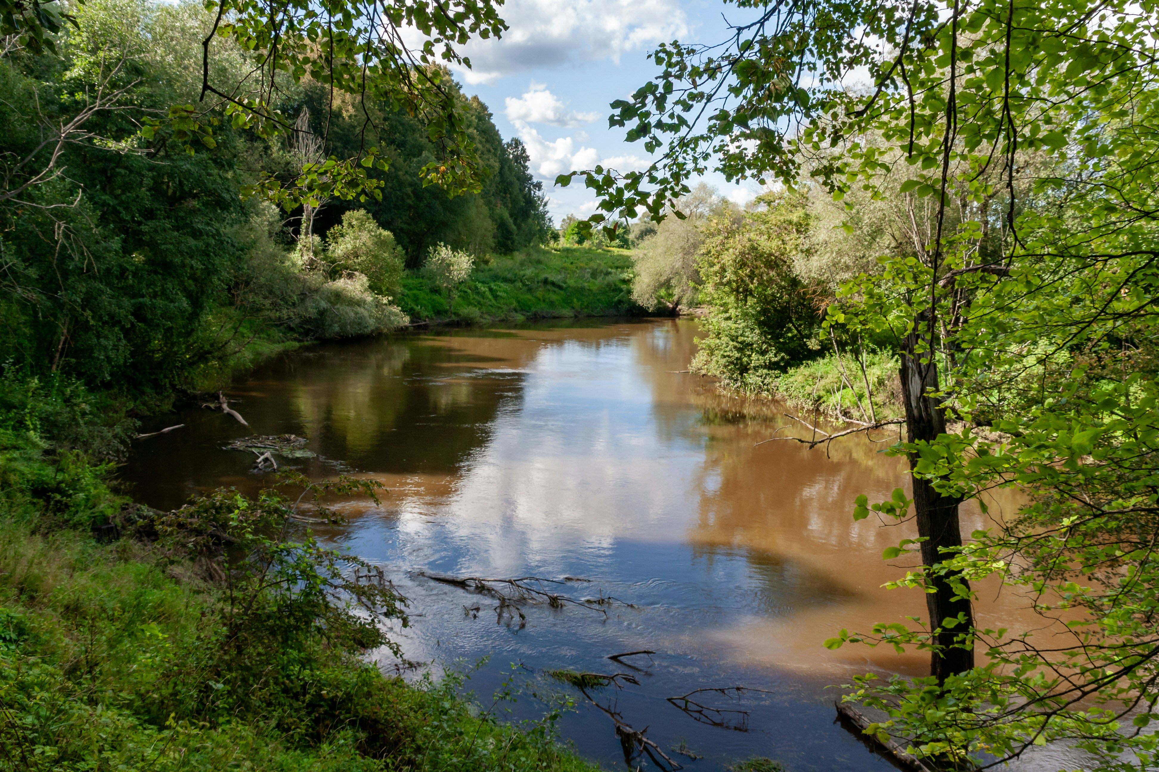 Photo by kulikovnik2