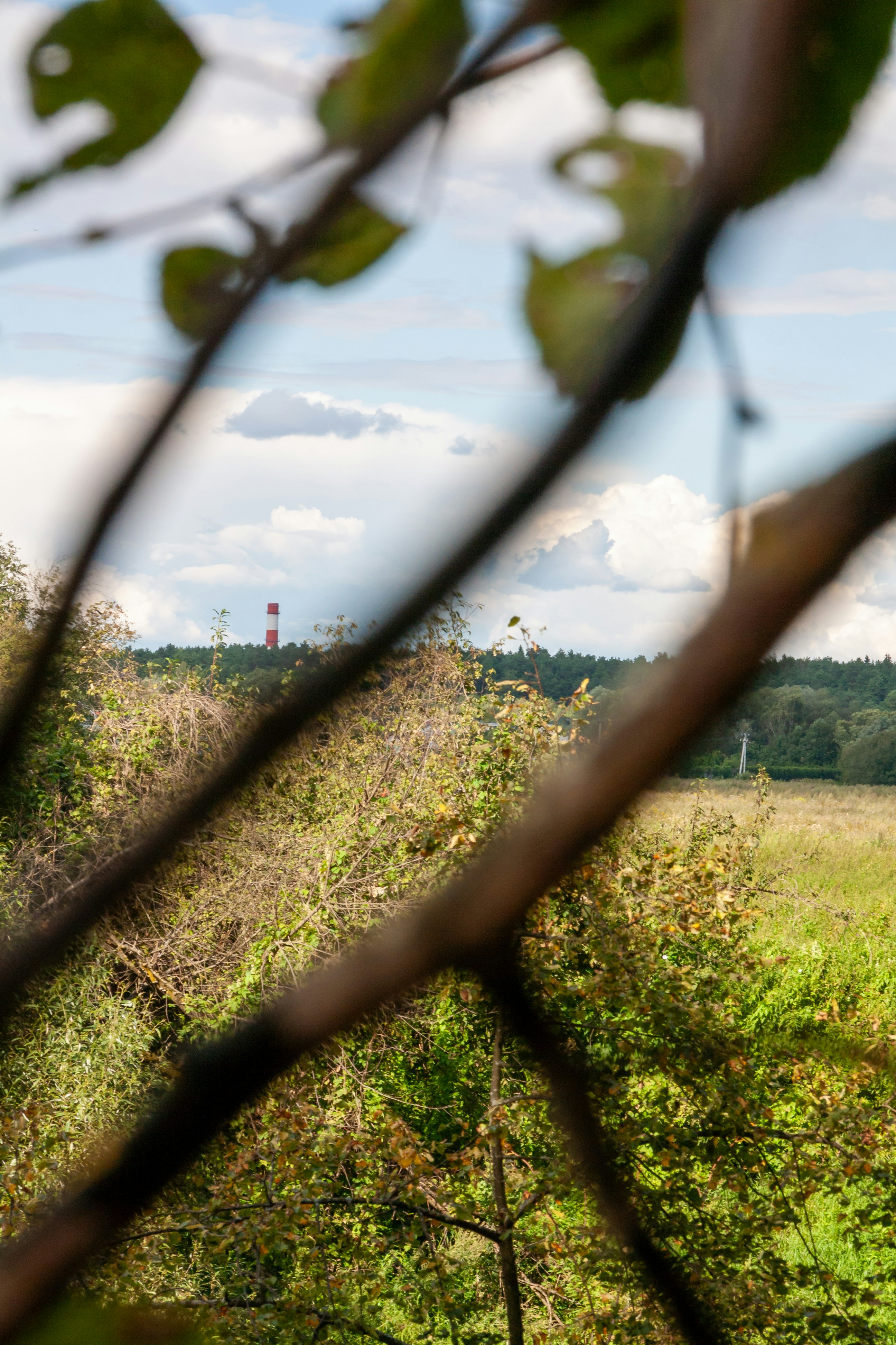 Photo by kulikovnik2