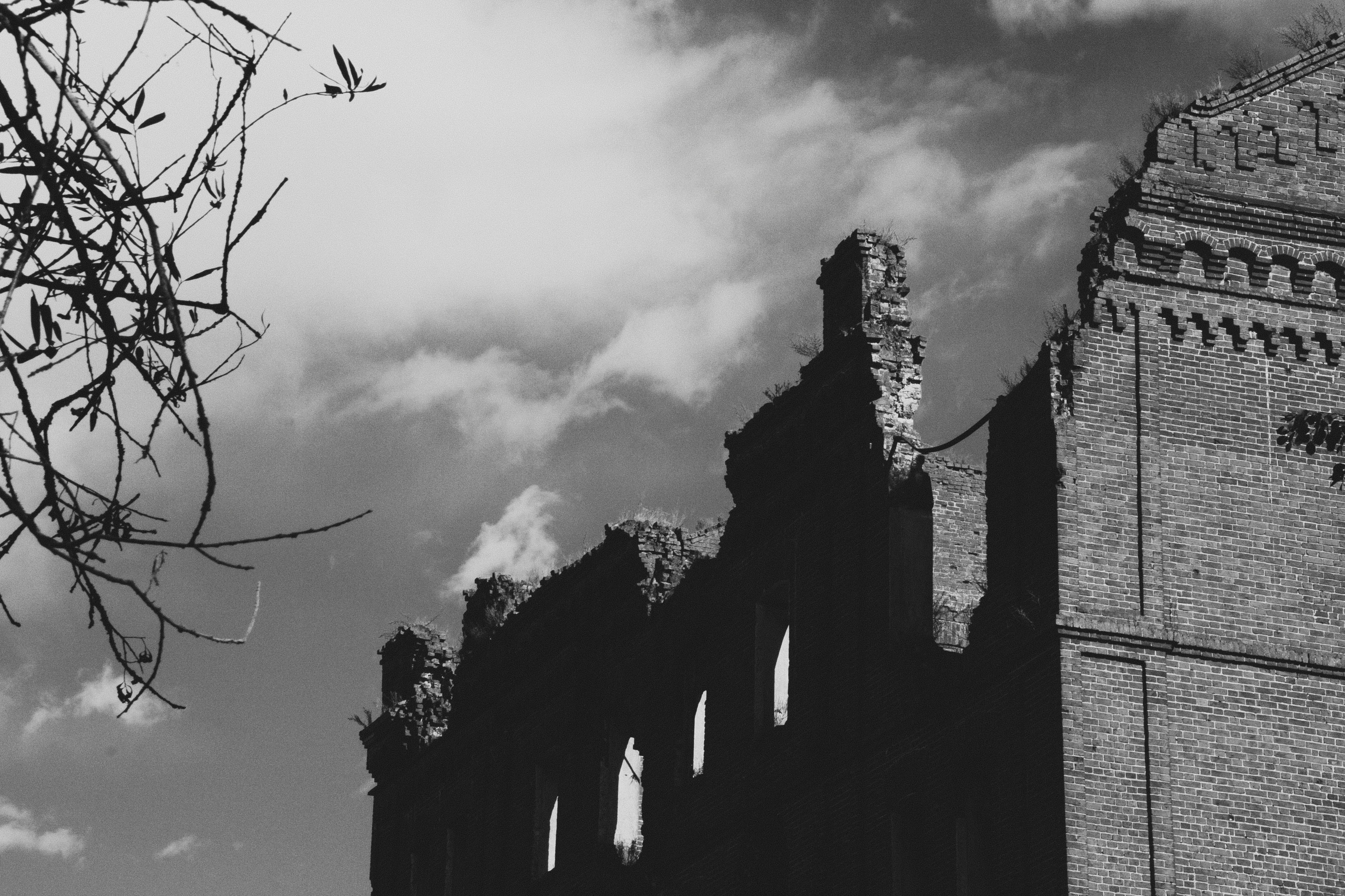 Photo by kulikovnik2