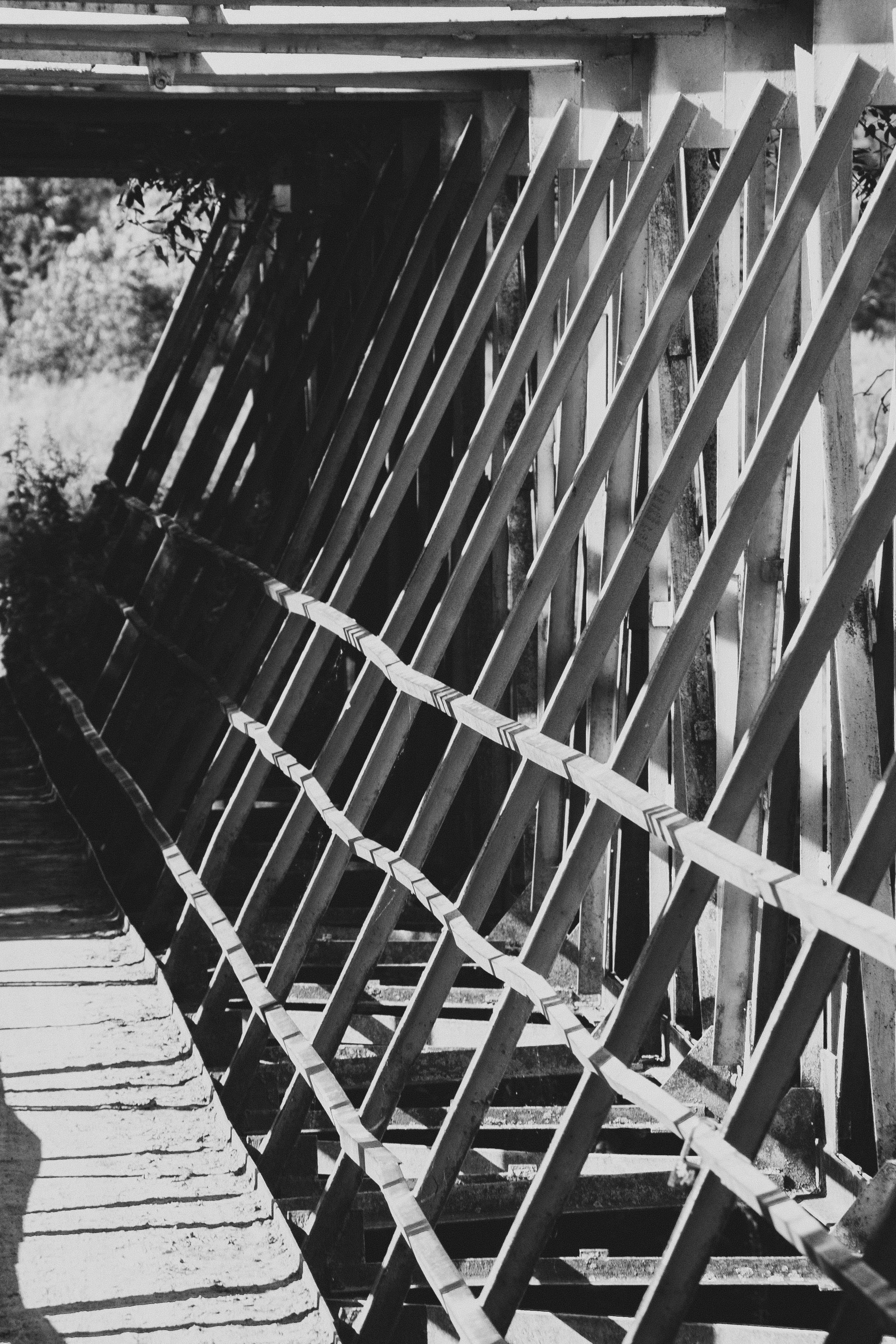 Photo by kulikovnik2