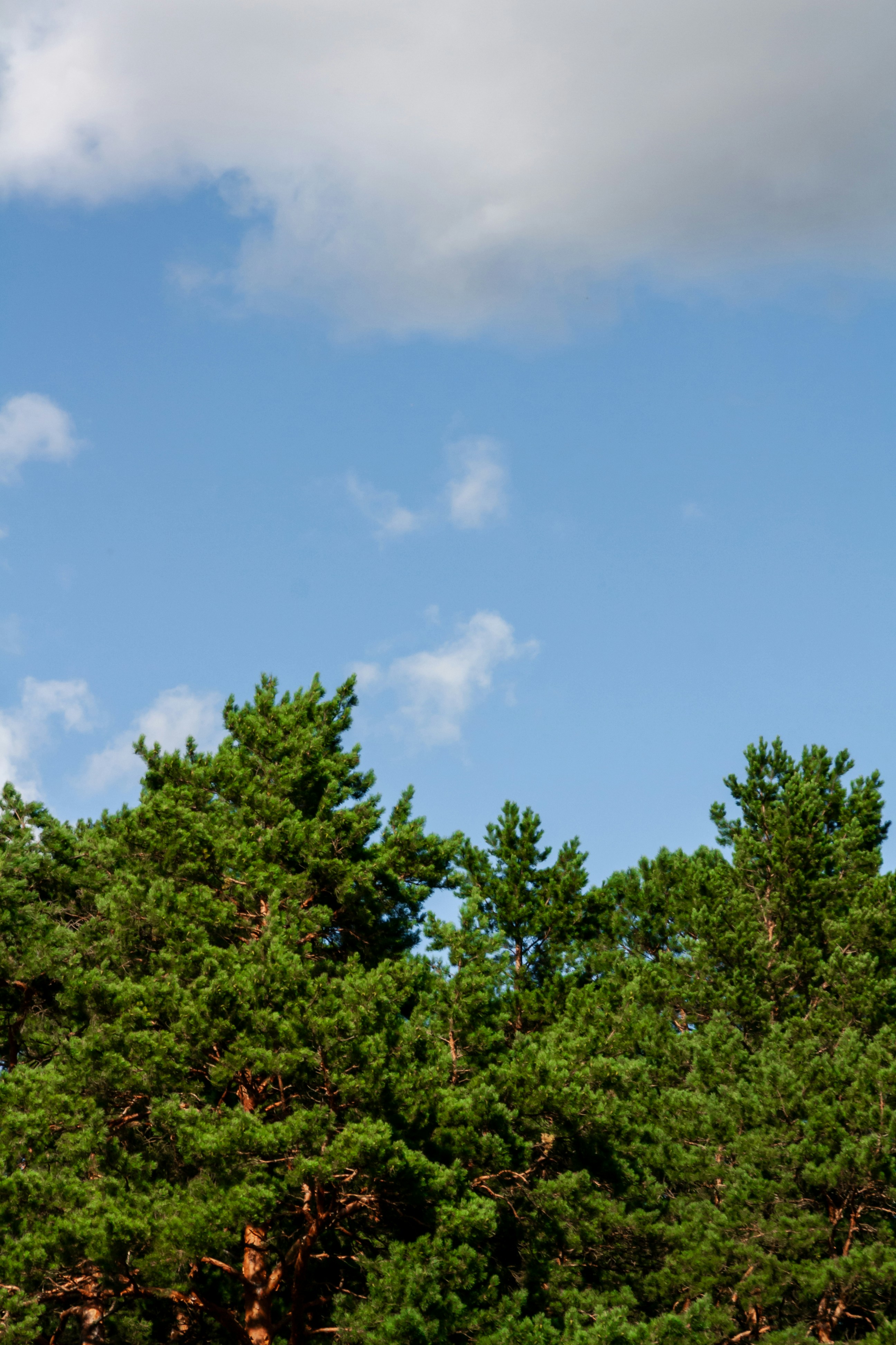 Photo by kulikovnik2