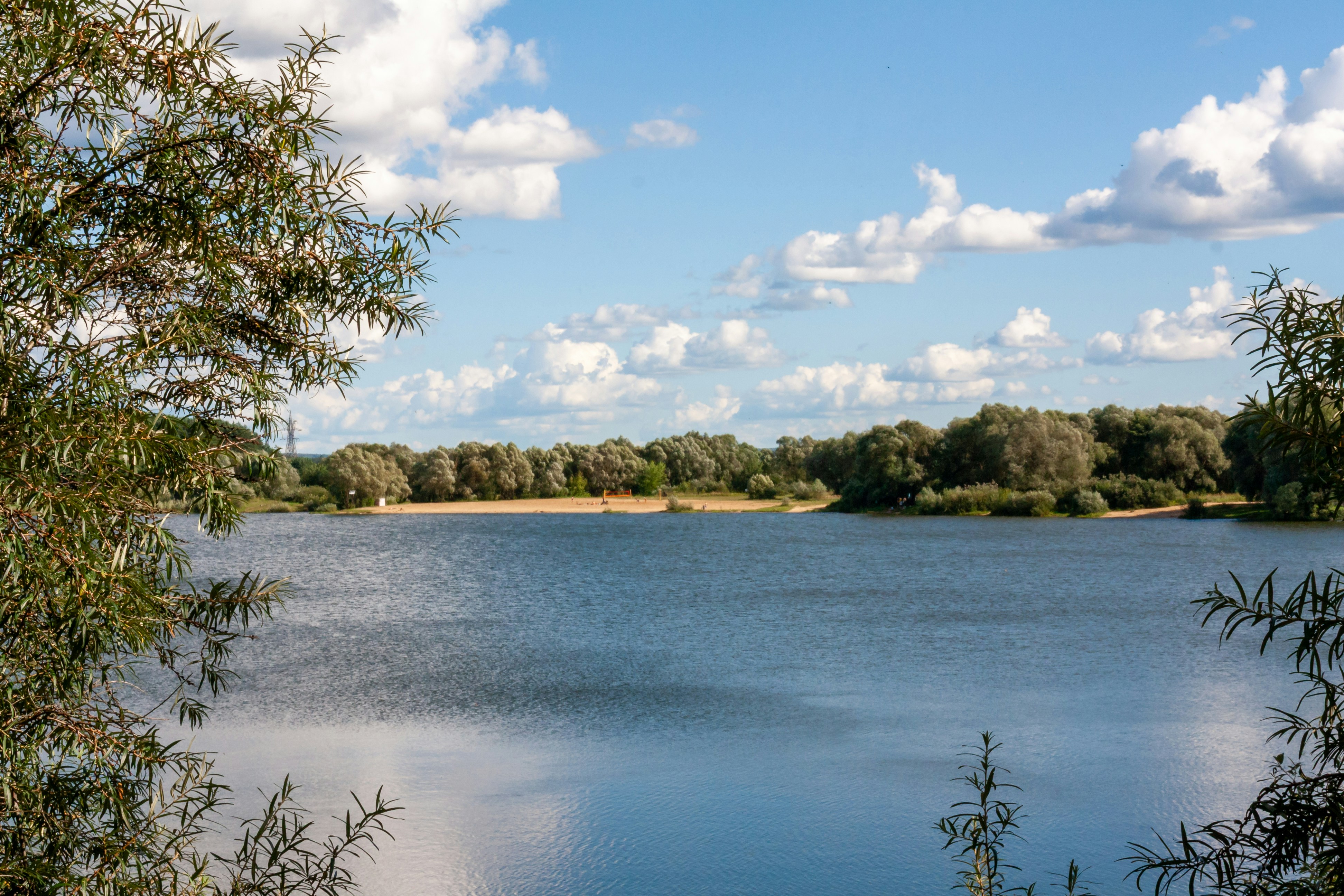 Photo by kulikovnik2