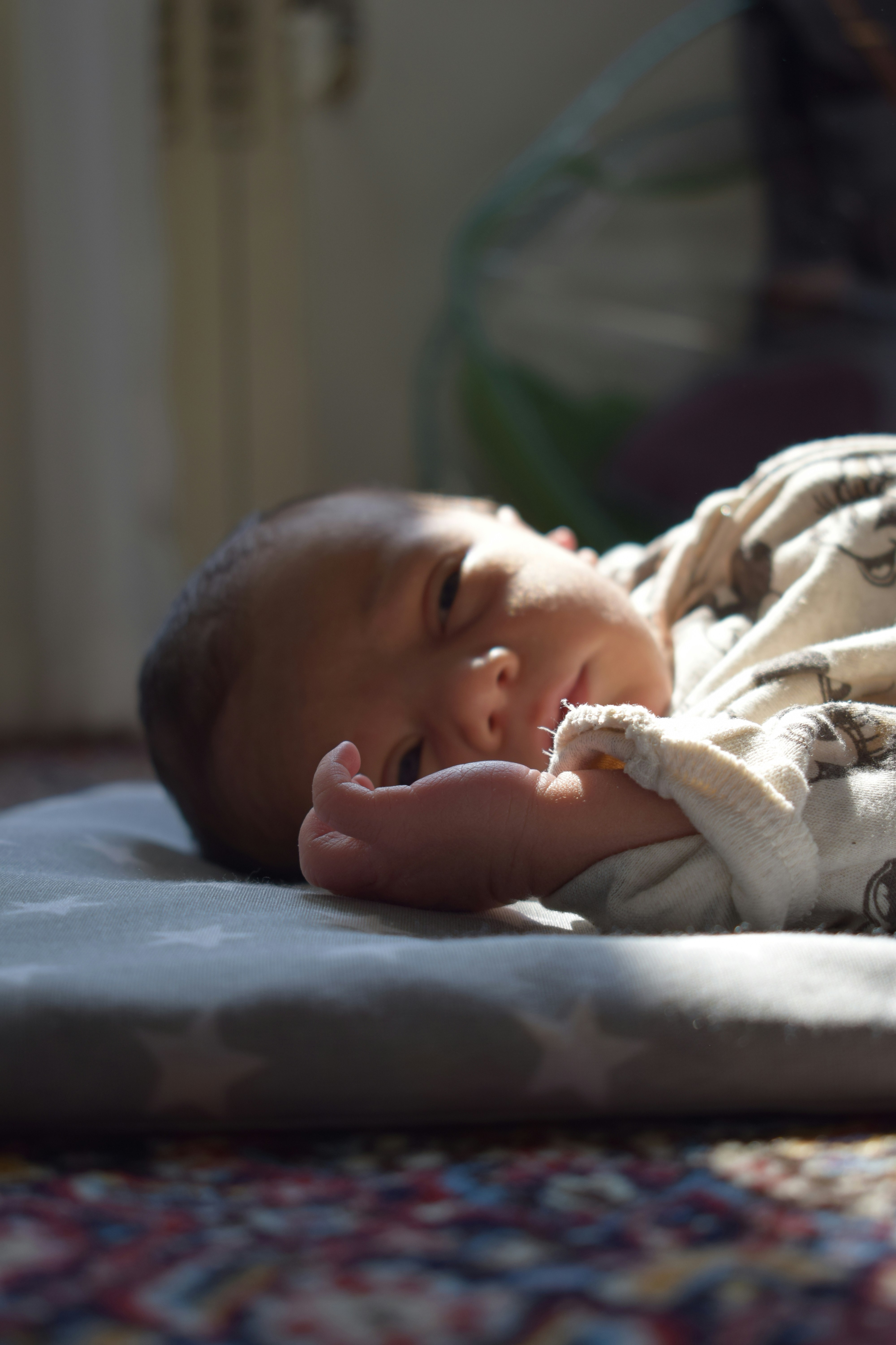 Photo by saeedhjhj
