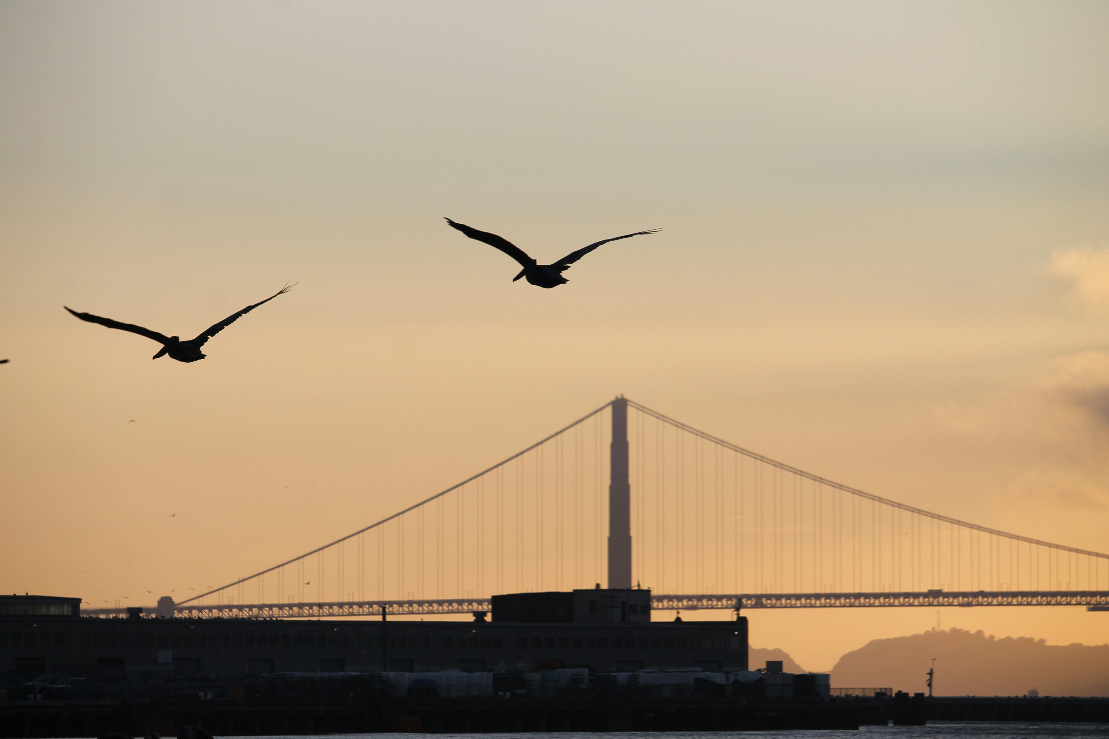 Photo by martinachitarrini