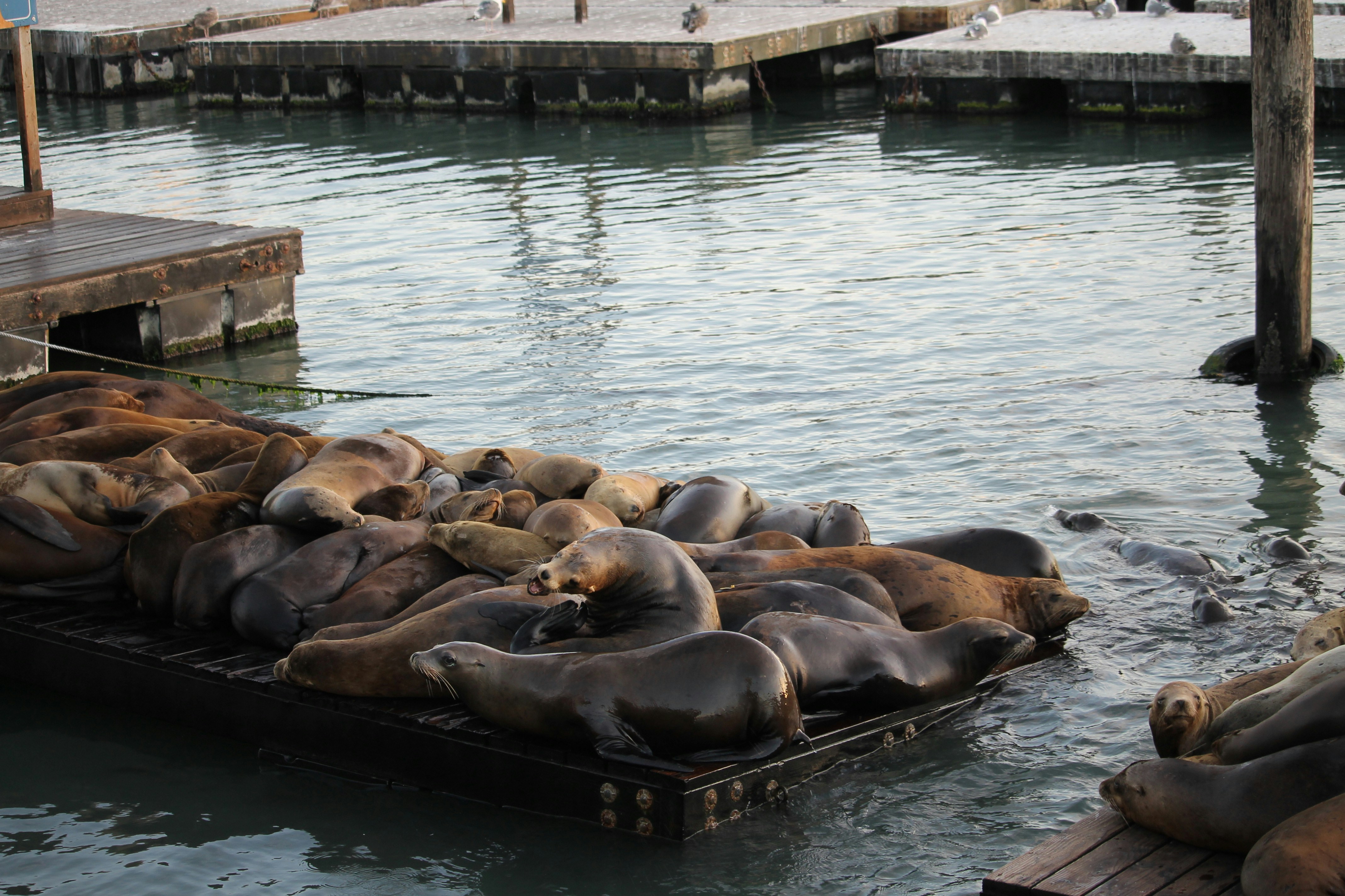 Photo by martinachitarrini