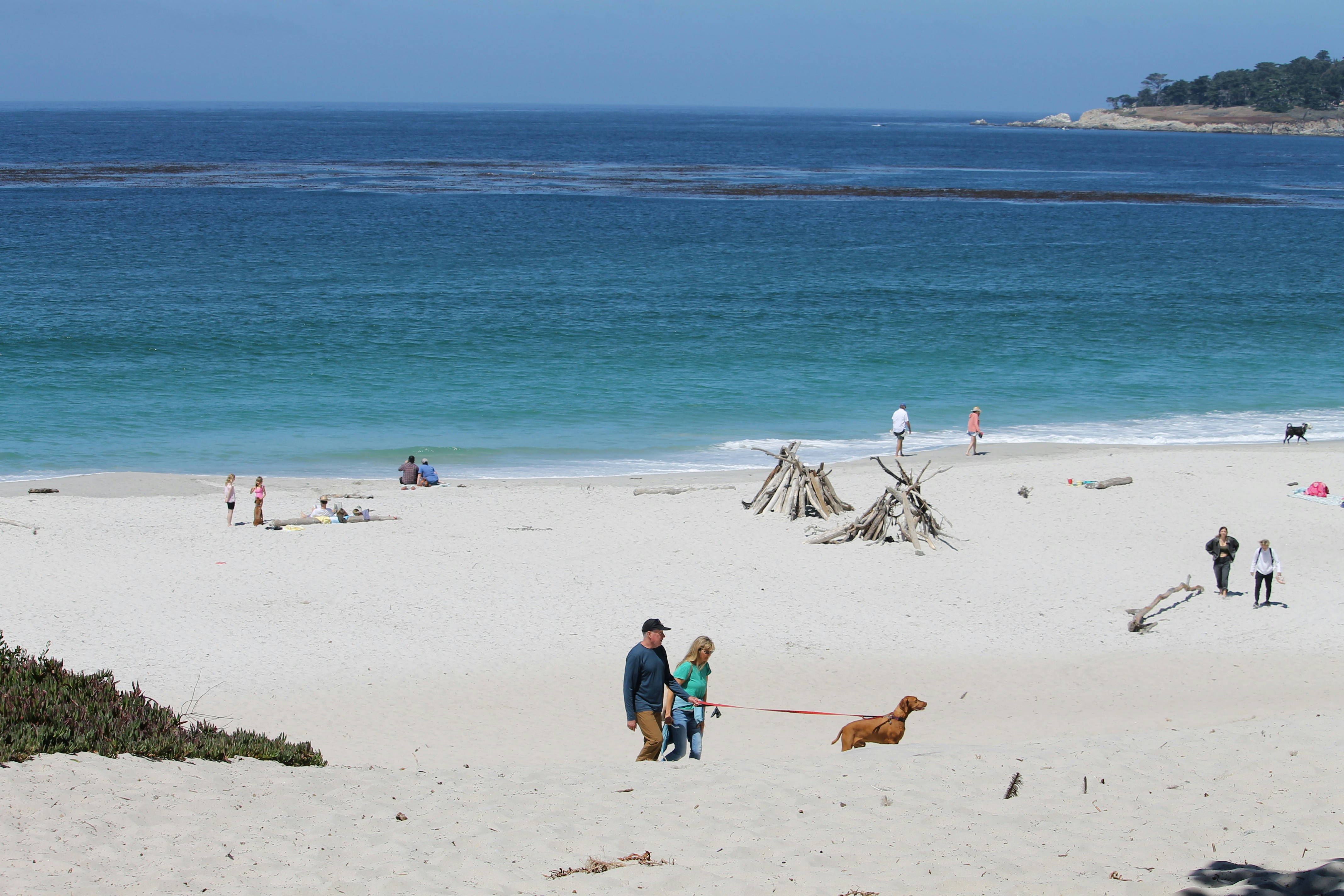 People and dog walk on sandy beach near blue ocean