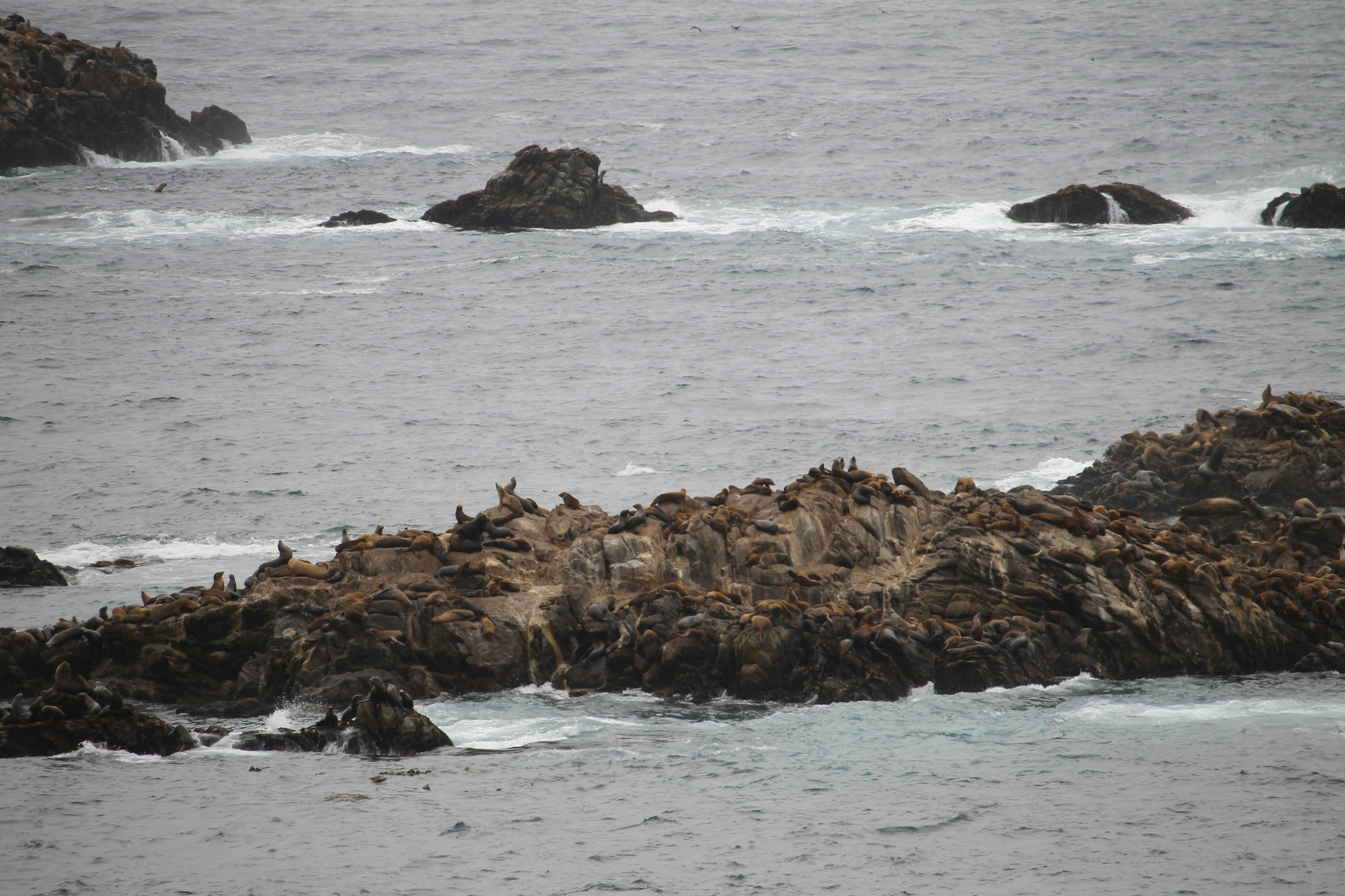 Photo by martinachitarrini