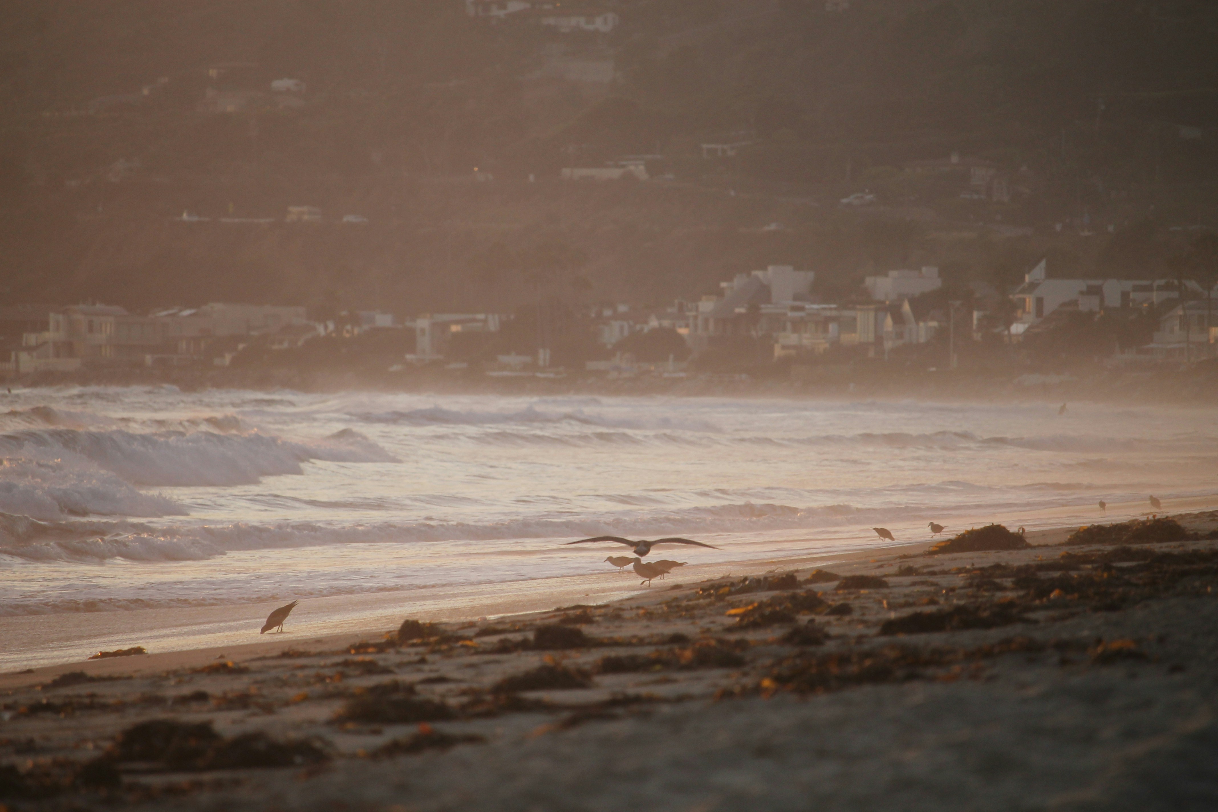 Photo by martinachitarrini