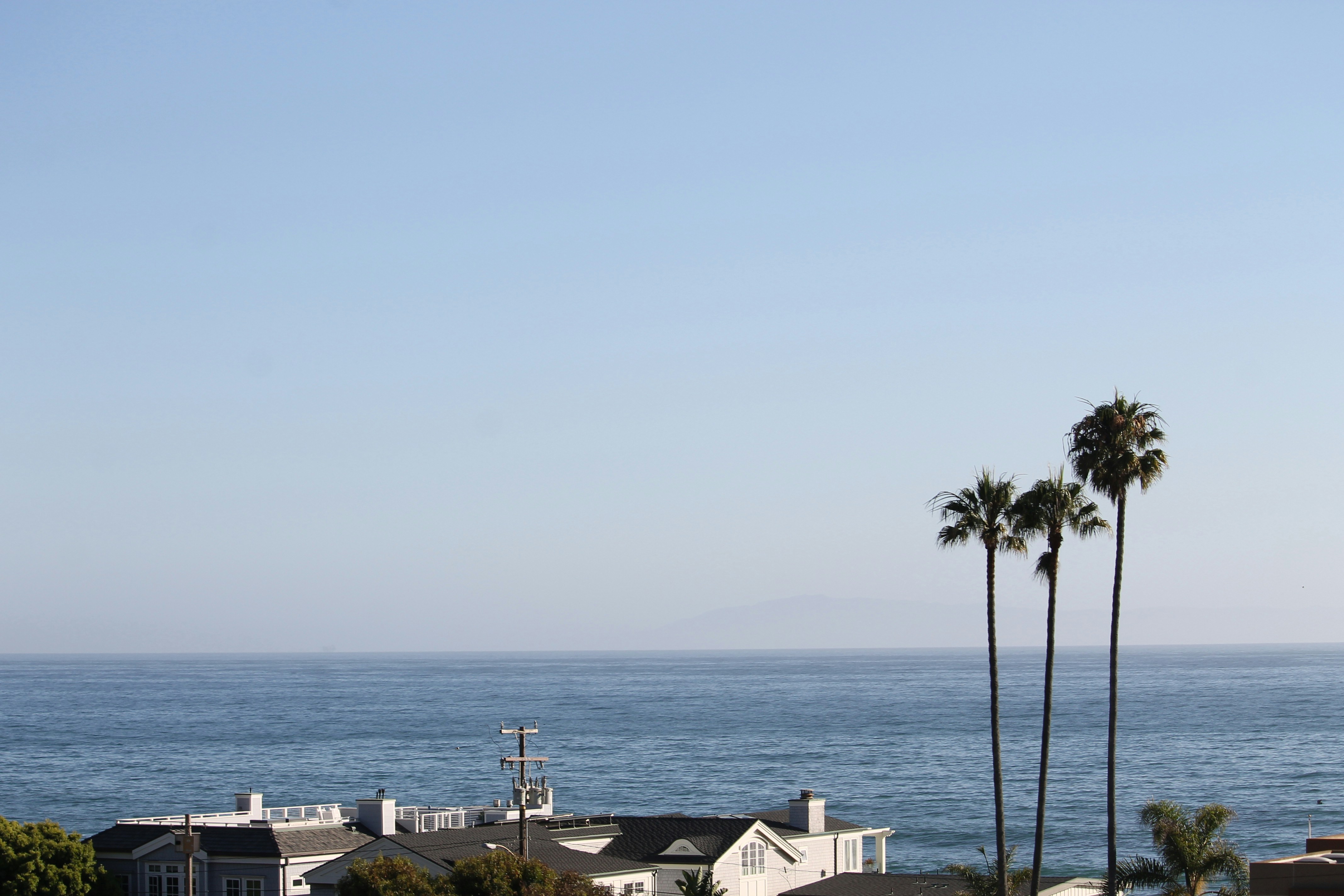 Palm trees overlook houses by the blue ocean.