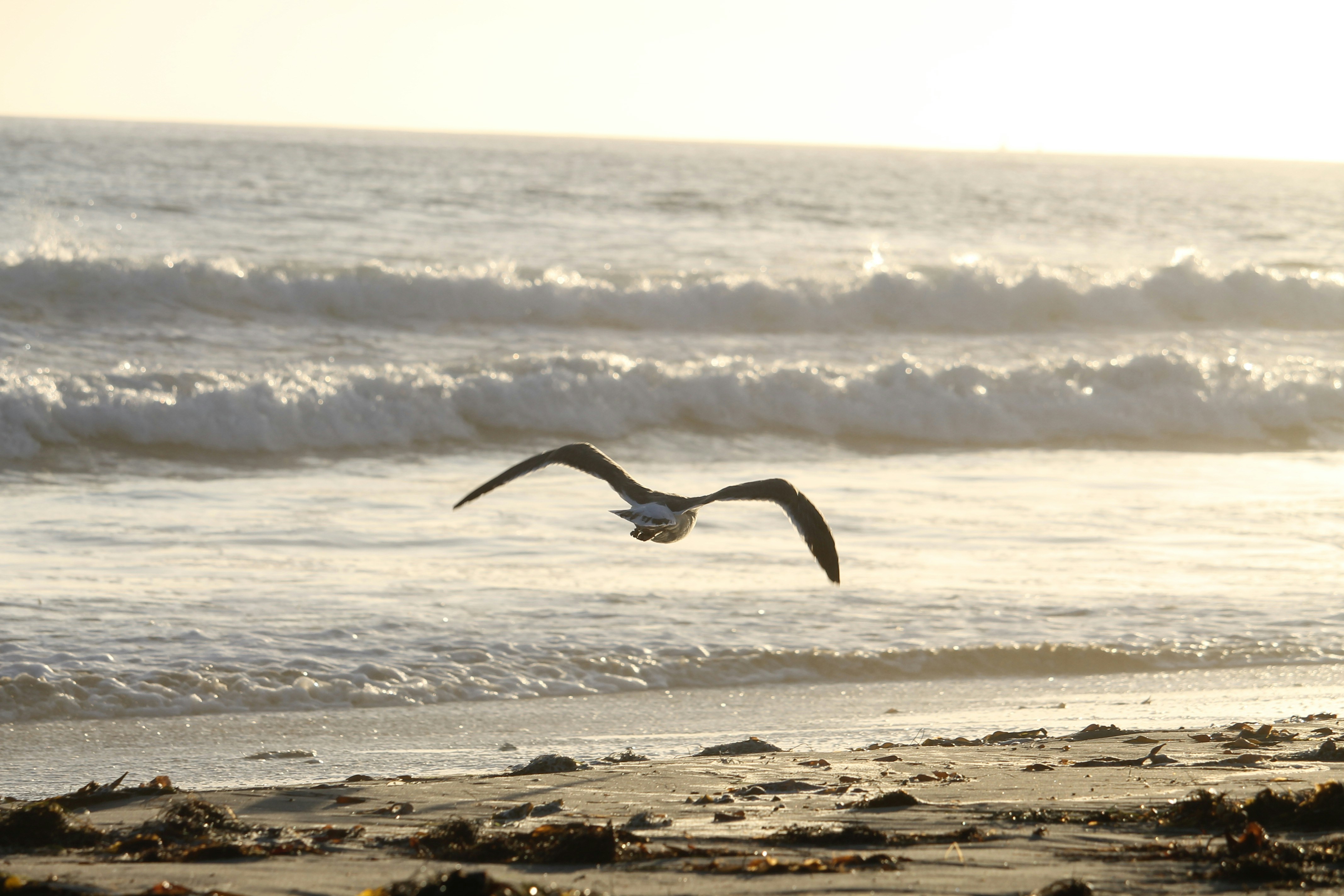 Photo by martinachitarrini