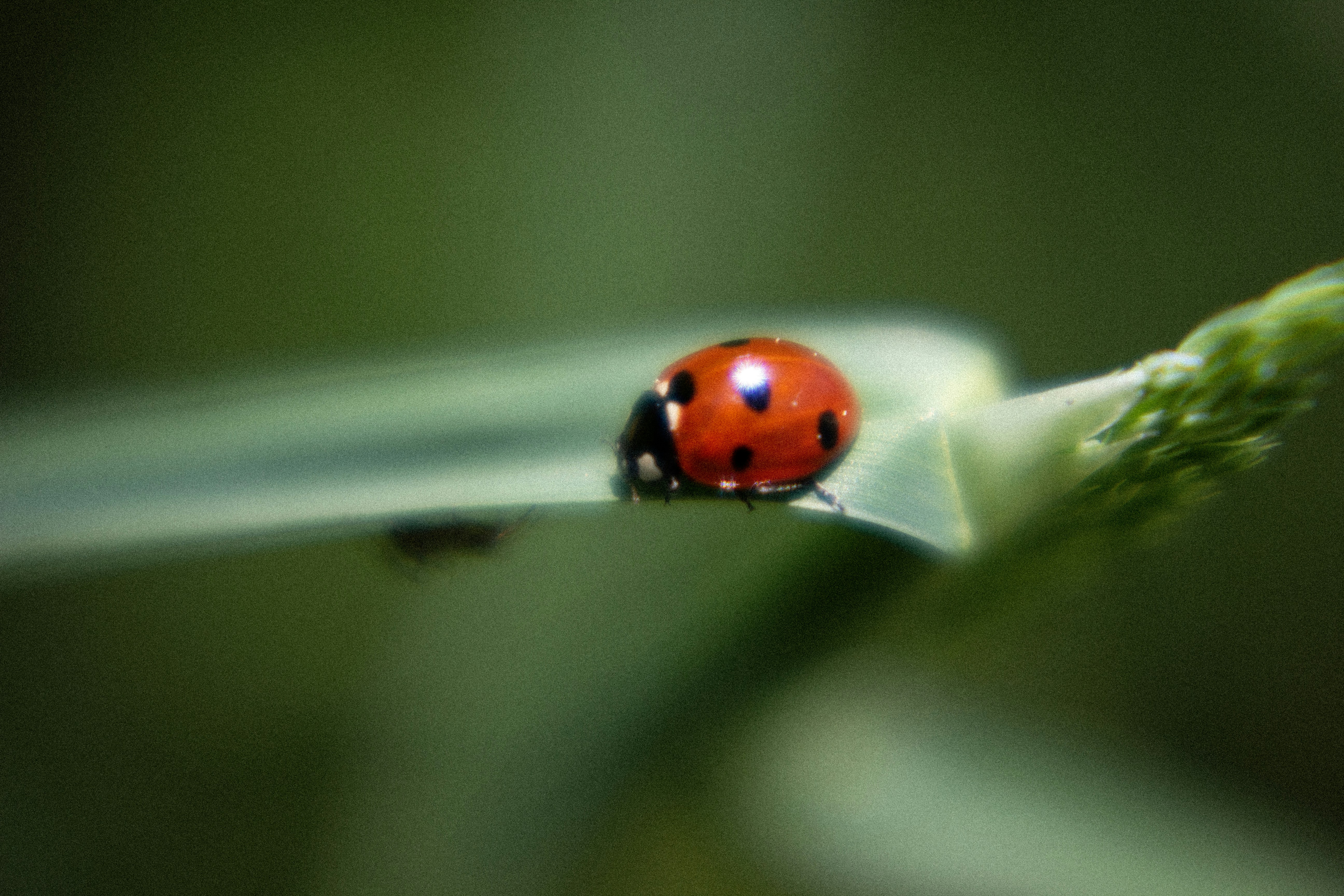 Photo by reinisbruzitis