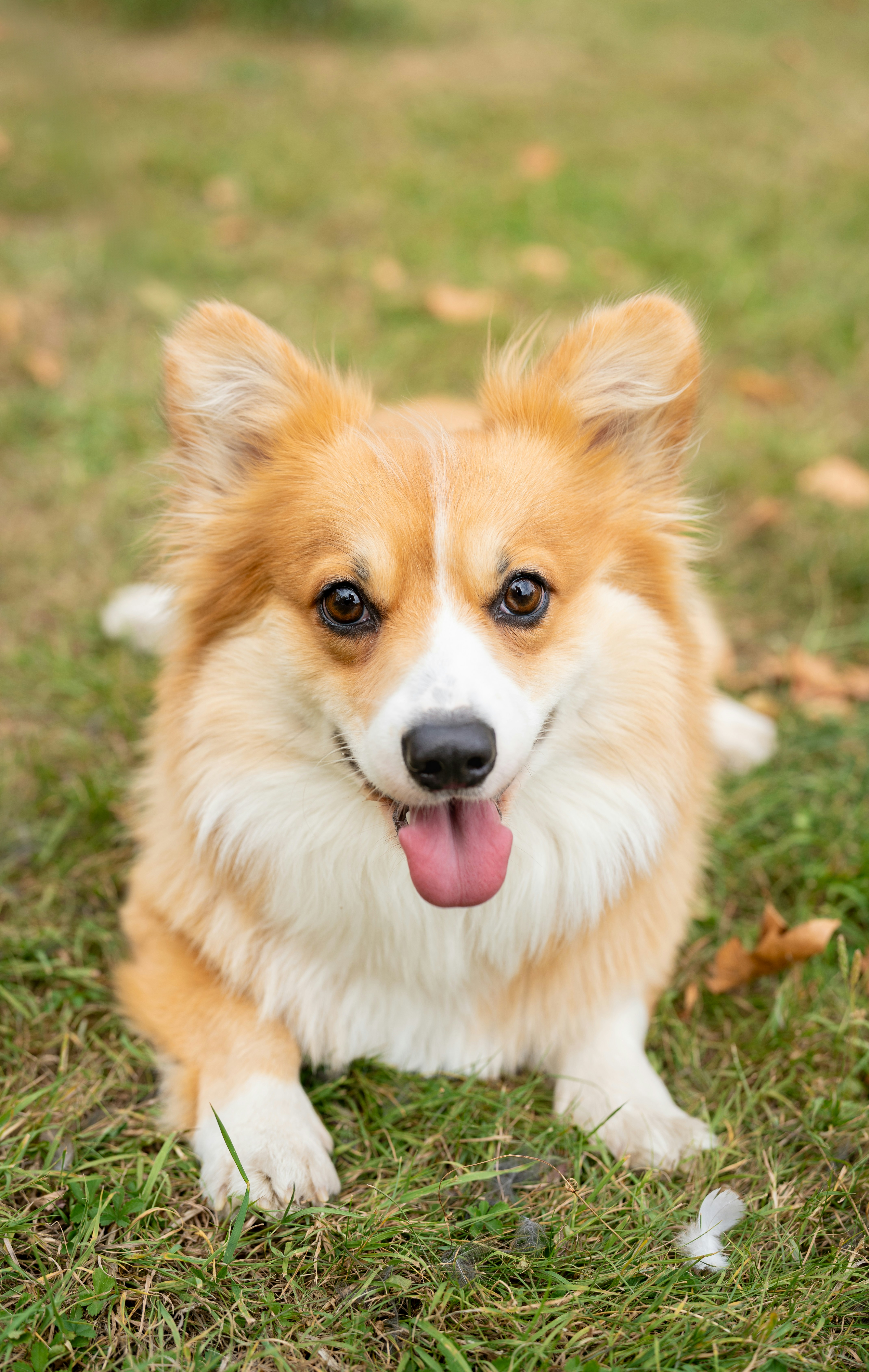 Photo by javiestebaan