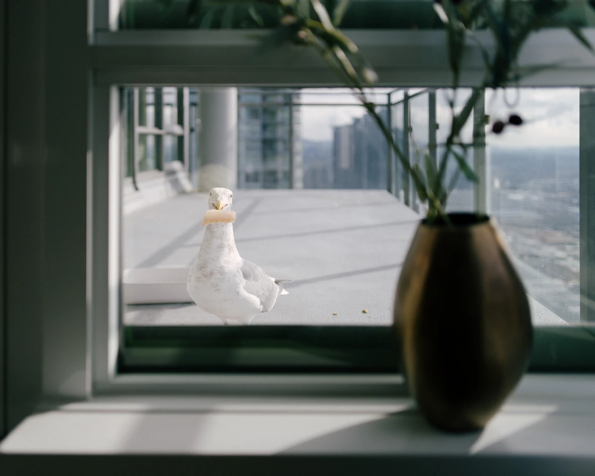 Automate Showings: ShowDigs vs Rently vs AppFolio 2026