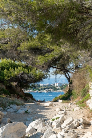 A scenic path leads to a sparkling blue bay.
