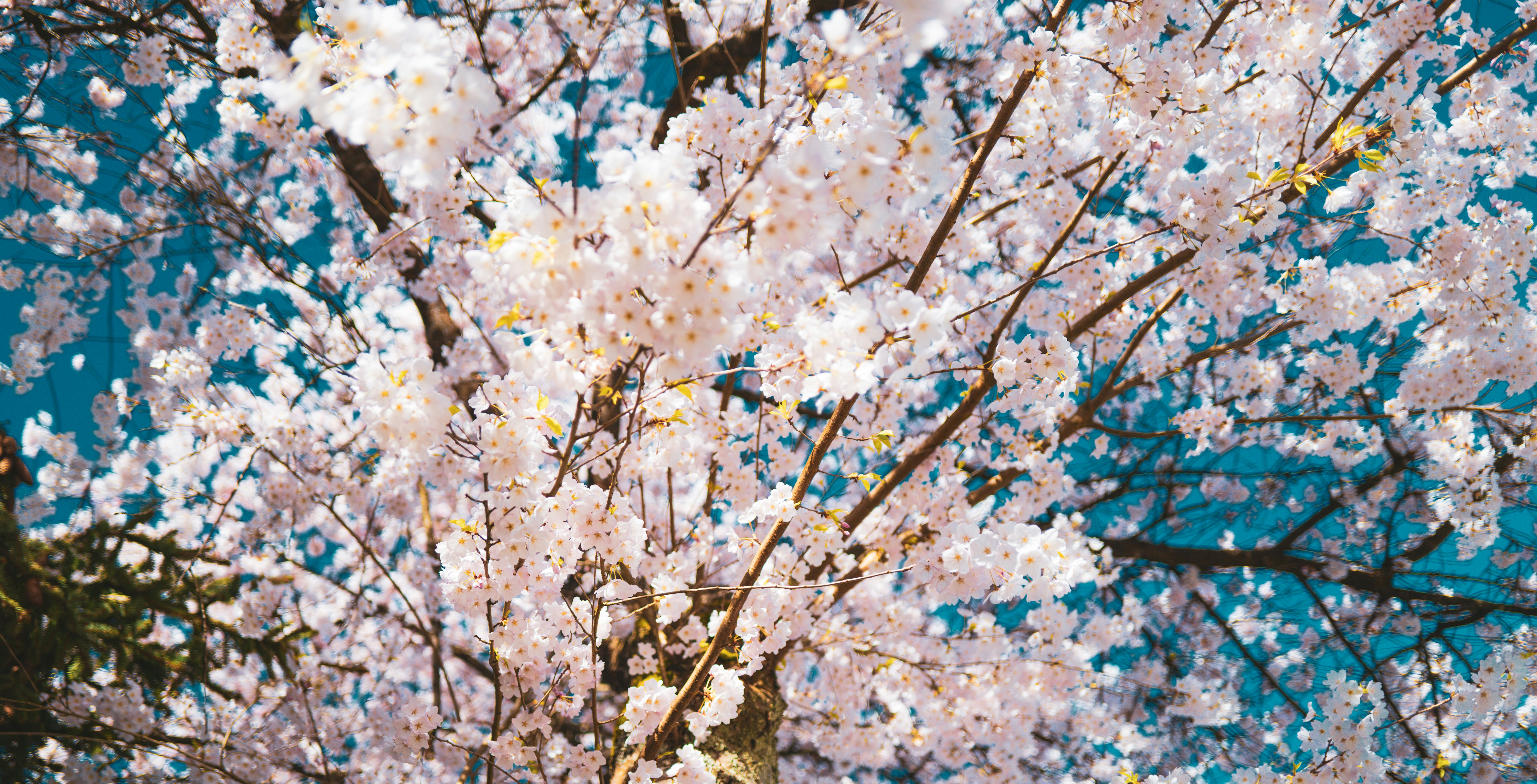 Photo by korner_kosmos