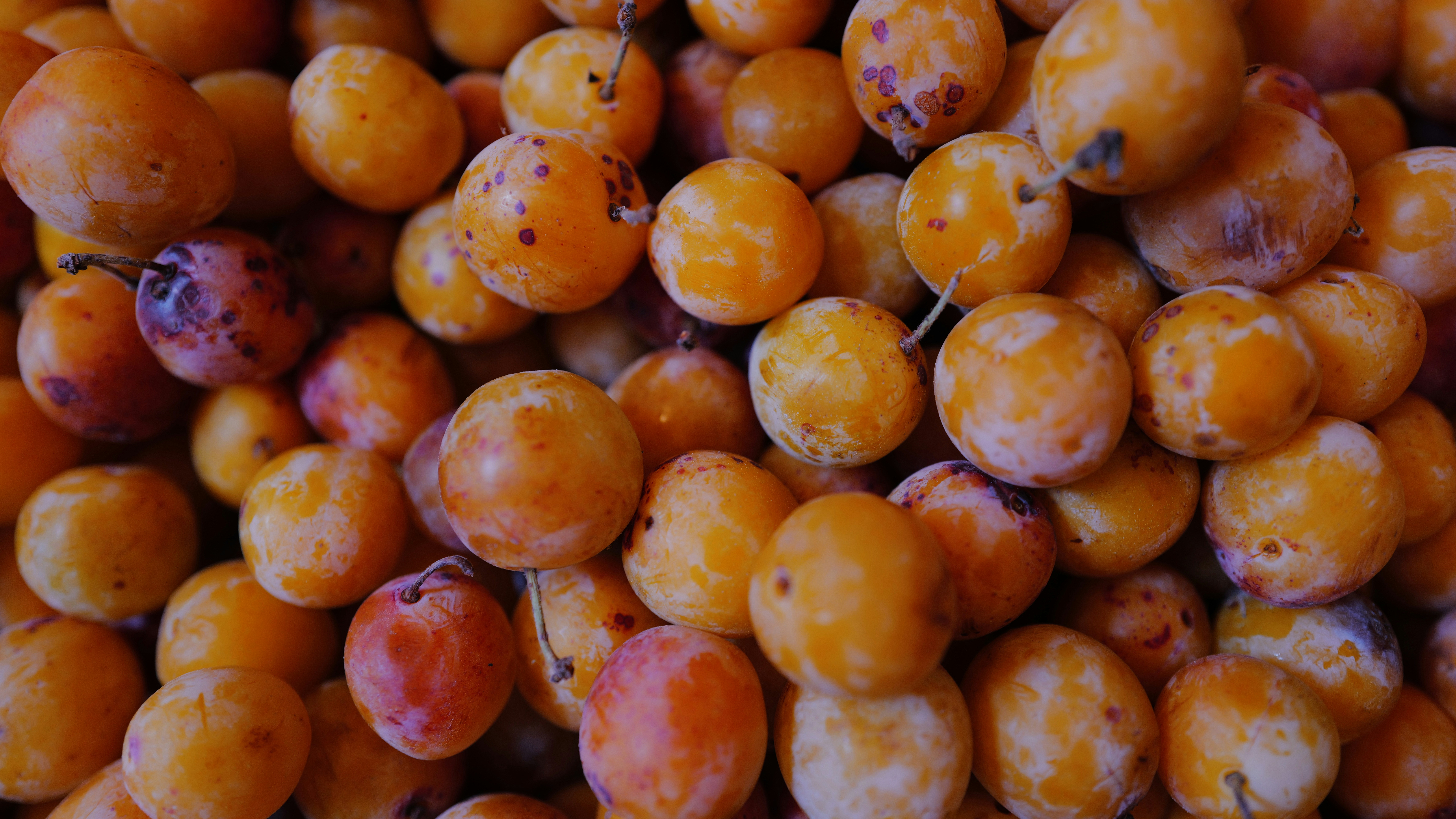 Mirabelle plums from the Marylebone Farmers Market