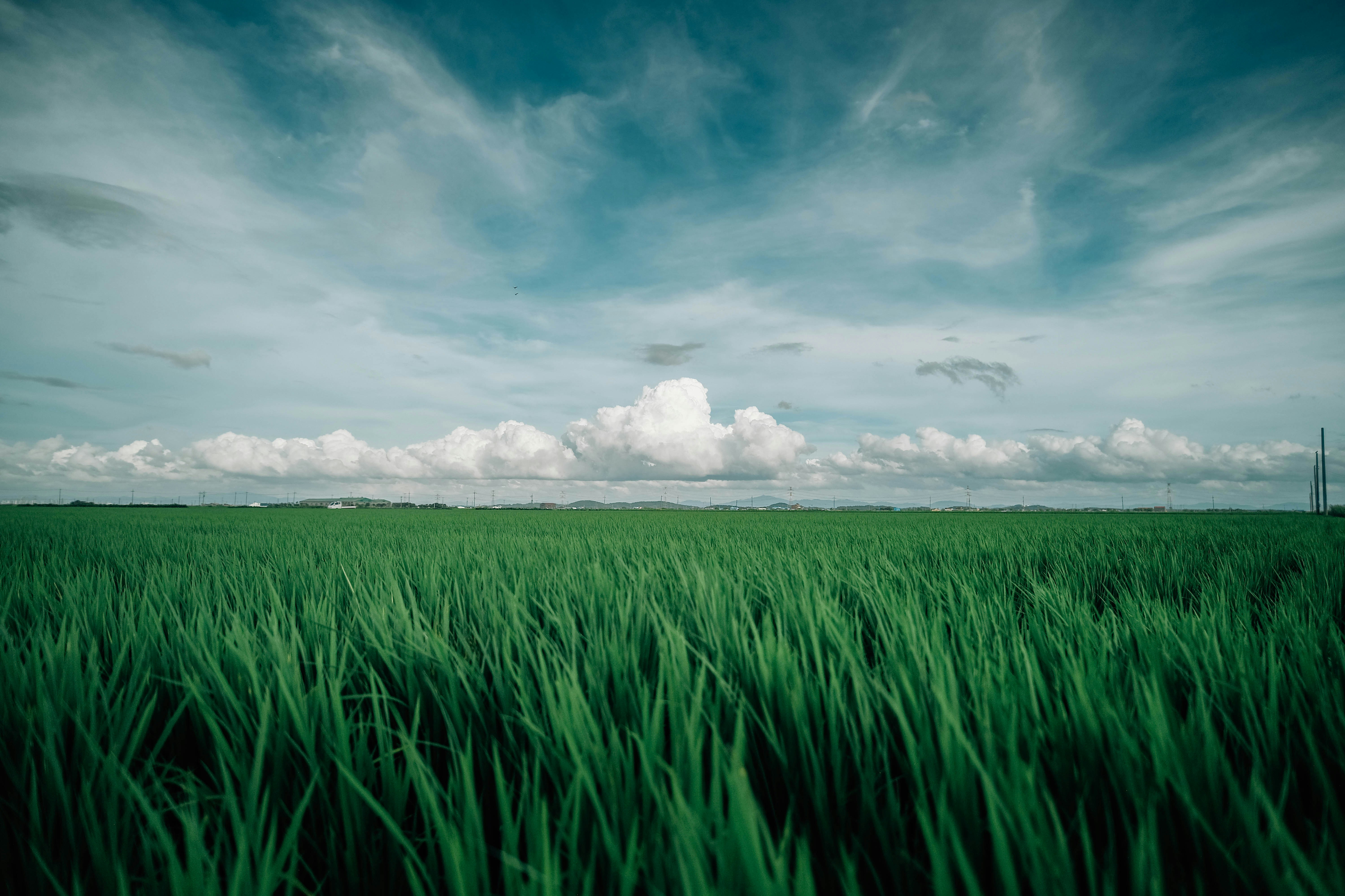 Photo by insungpandora