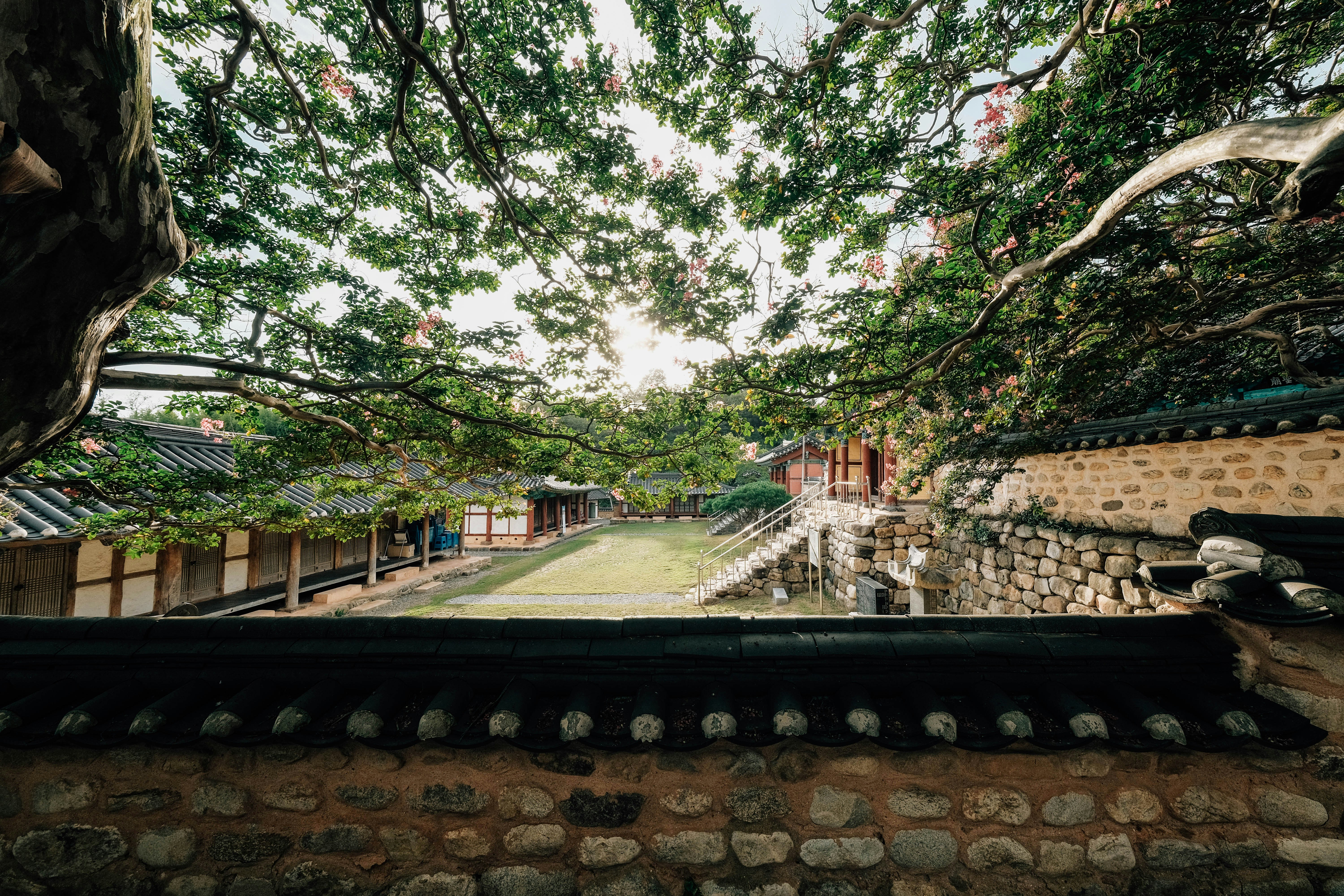 Photo by insungpandora