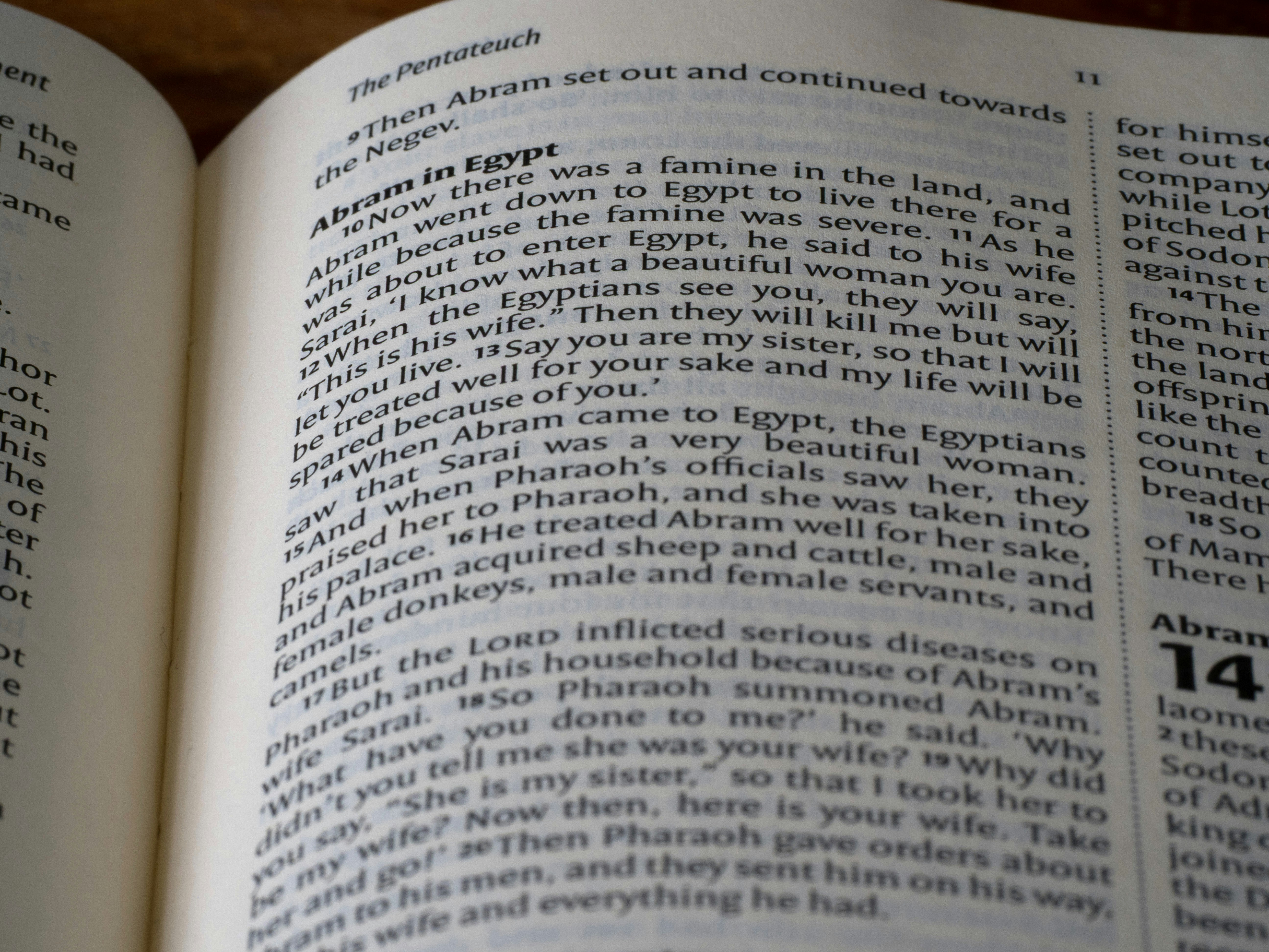 Photo by brett_jordan