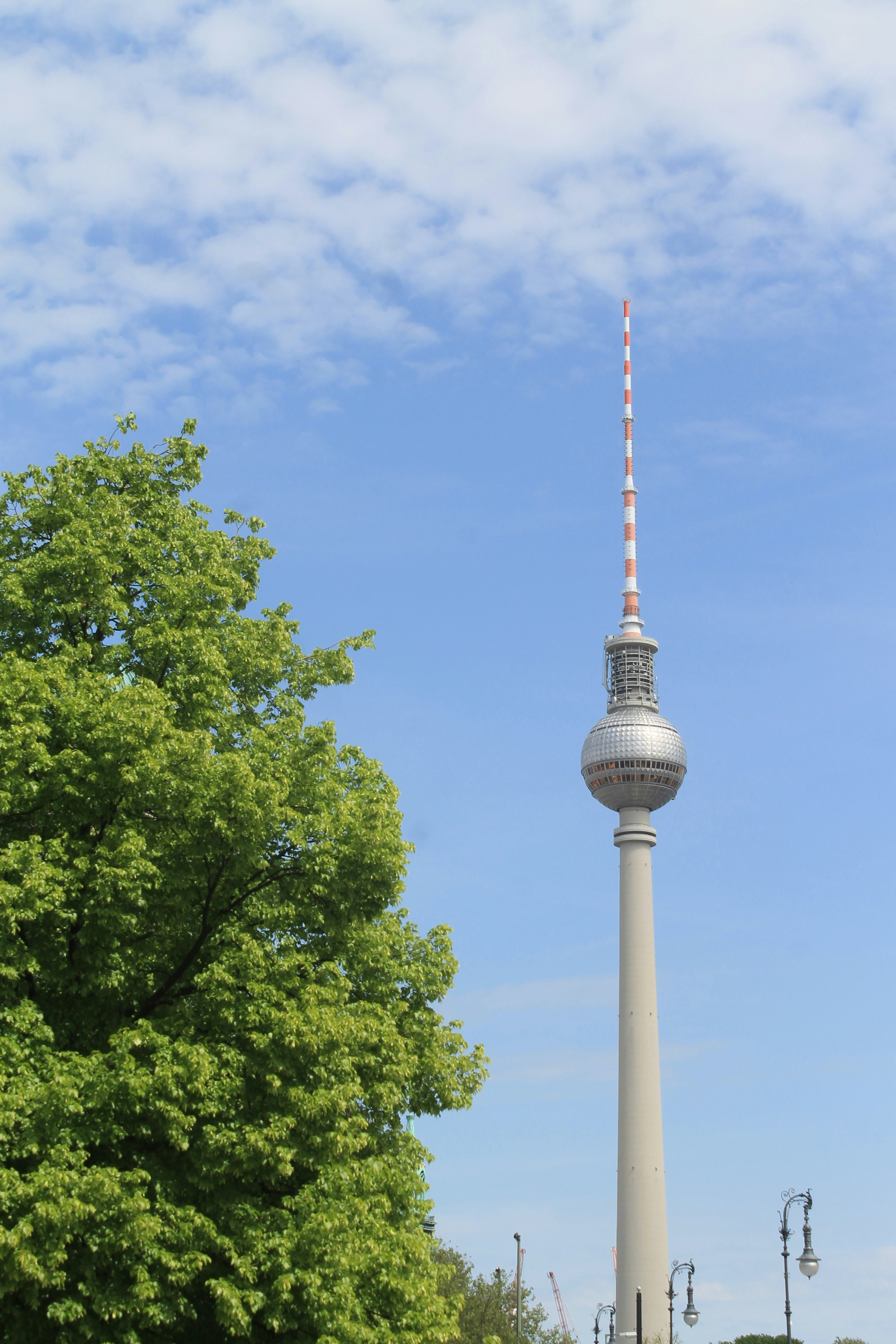 Photo by maistormani8