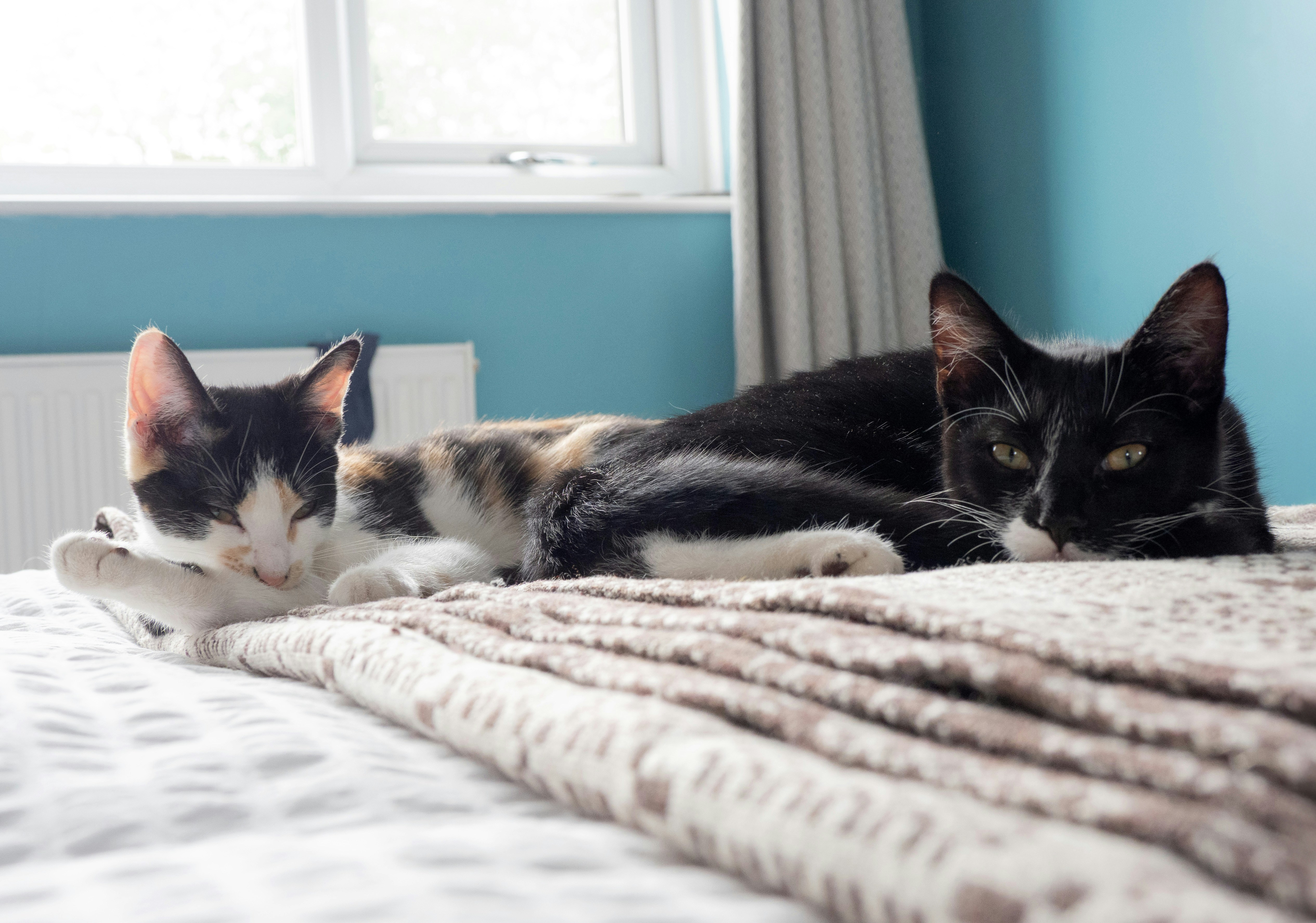 Photo by brett_jordan