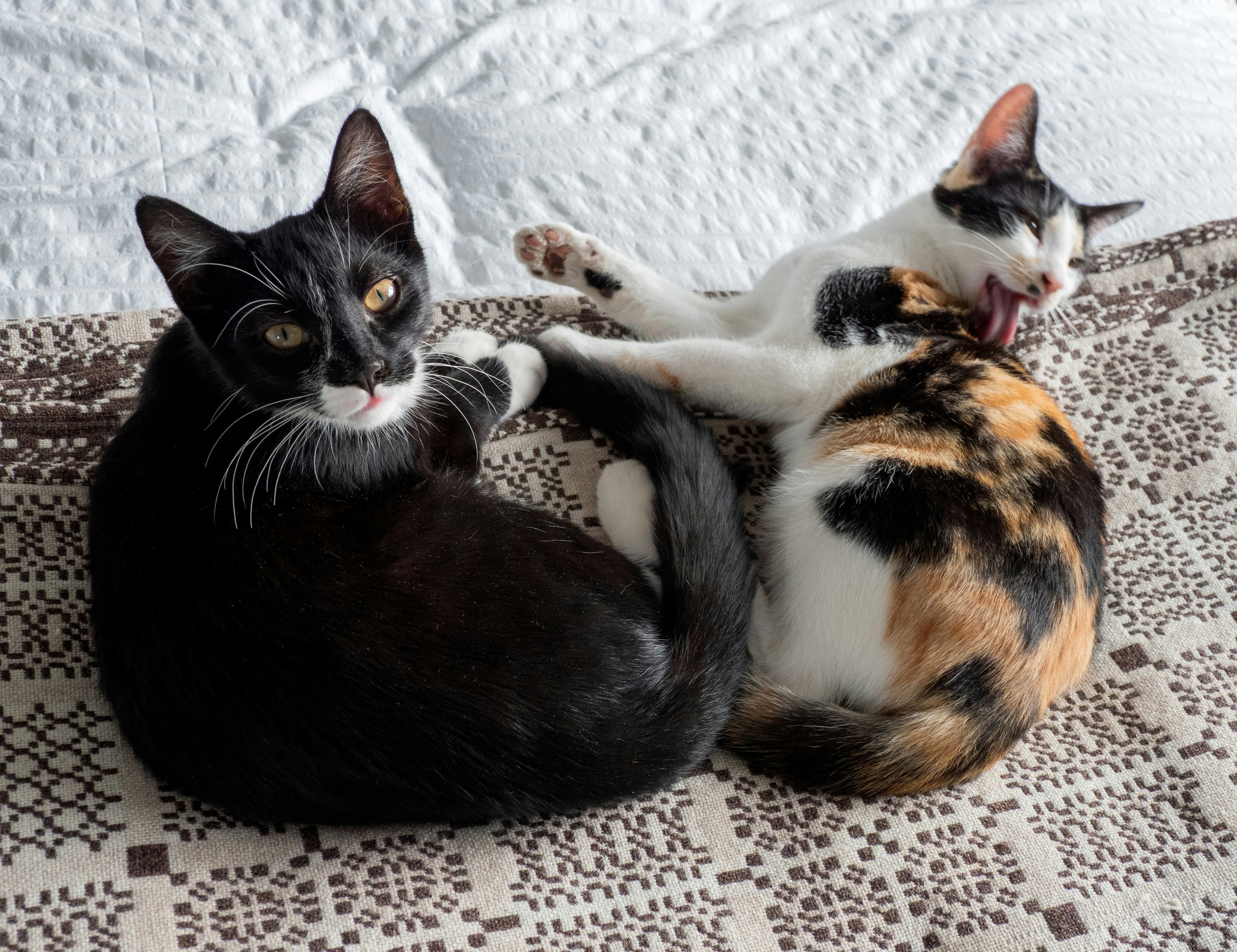 Photo by brett_jordan