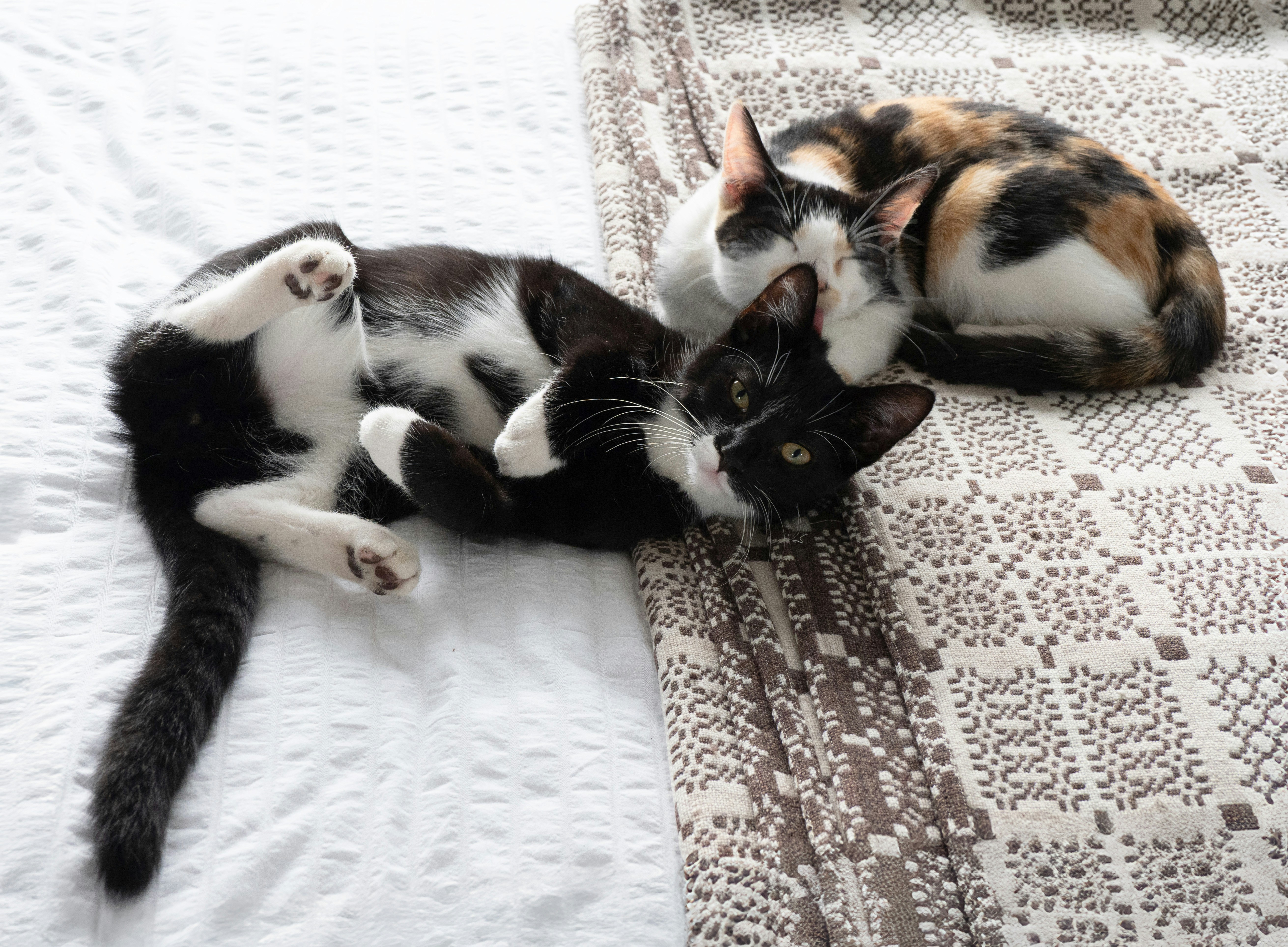 Photo by brett_jordan