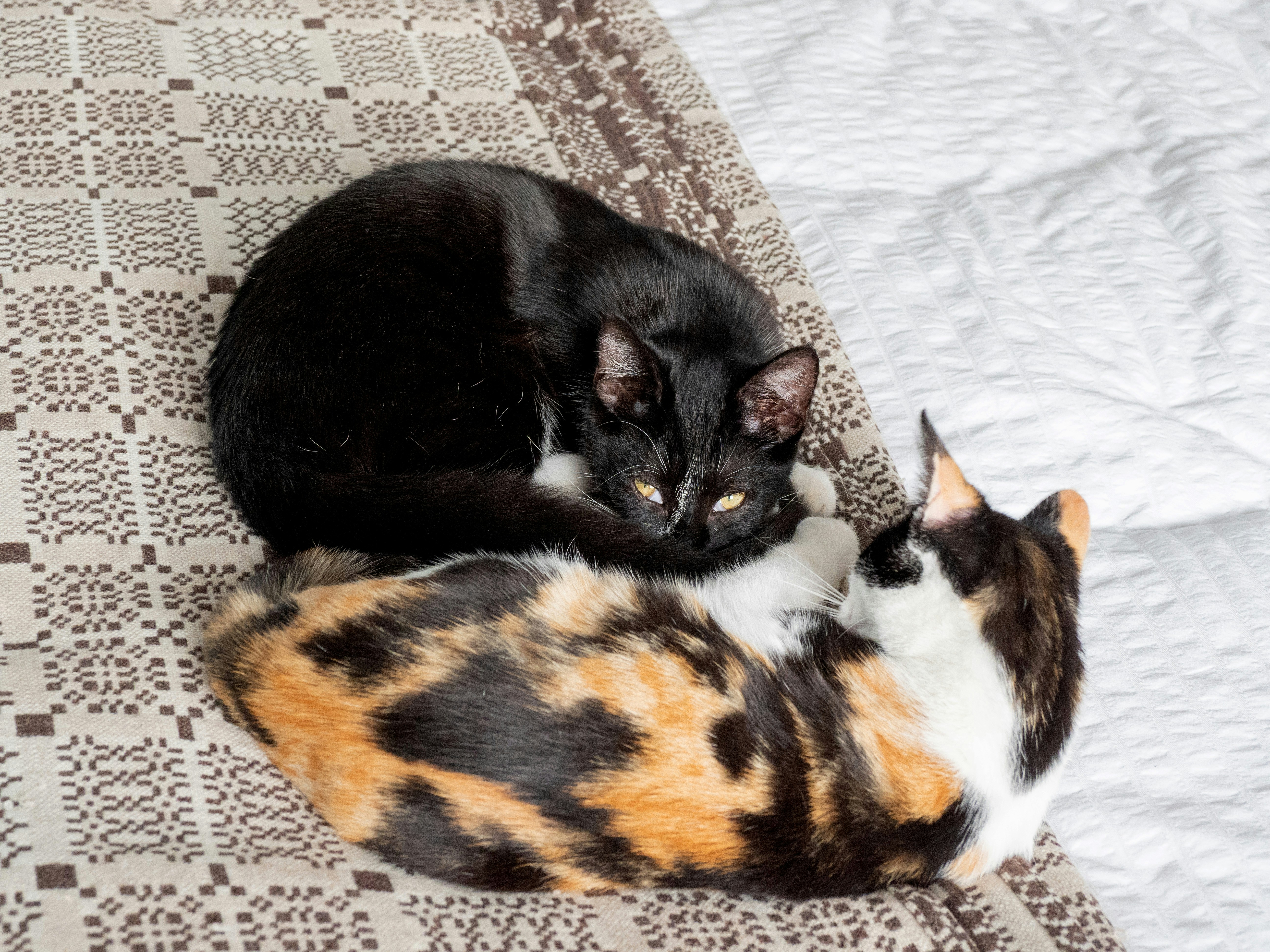 Photo by brett_jordan