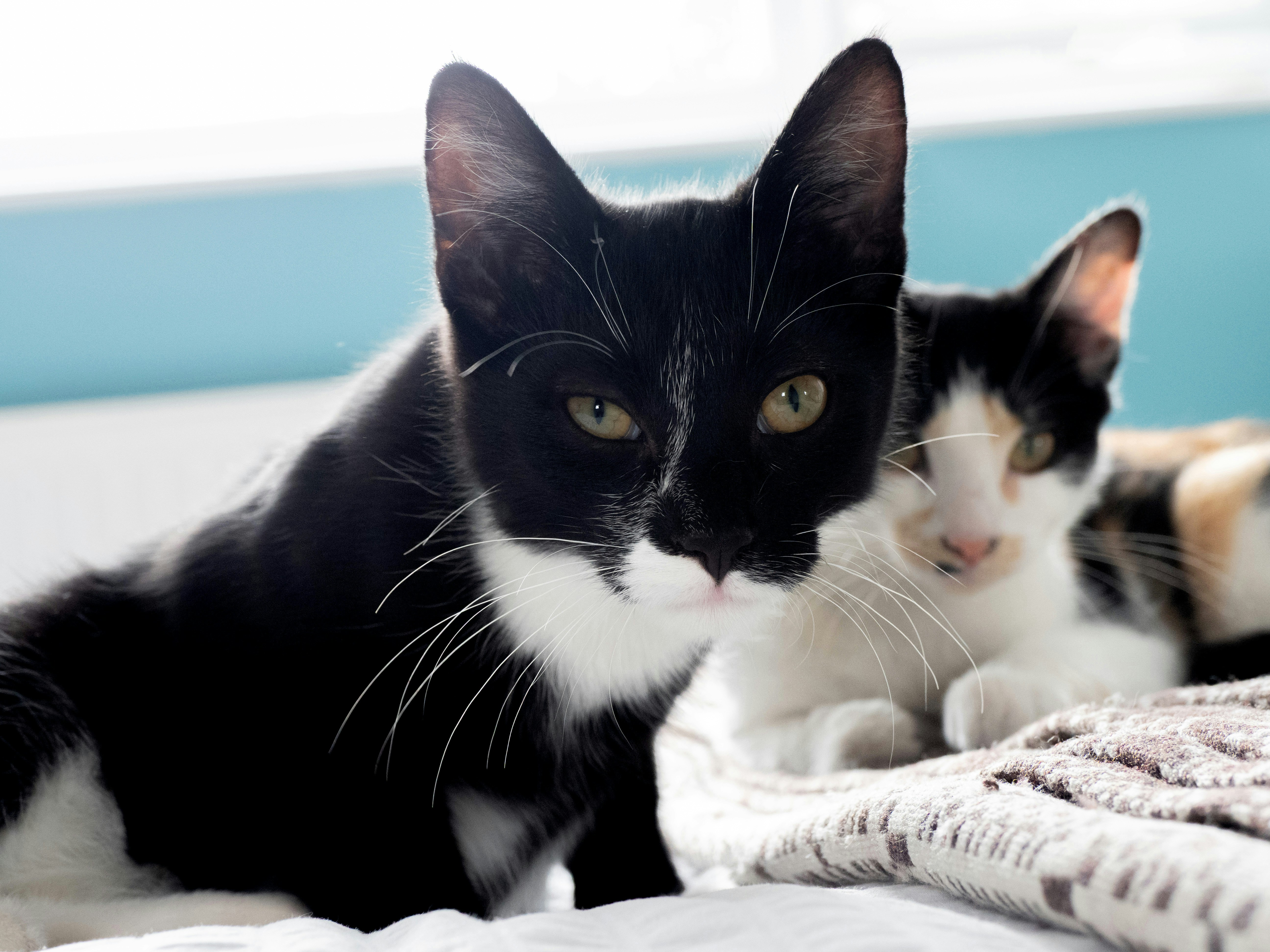 Photo by brett_jordan