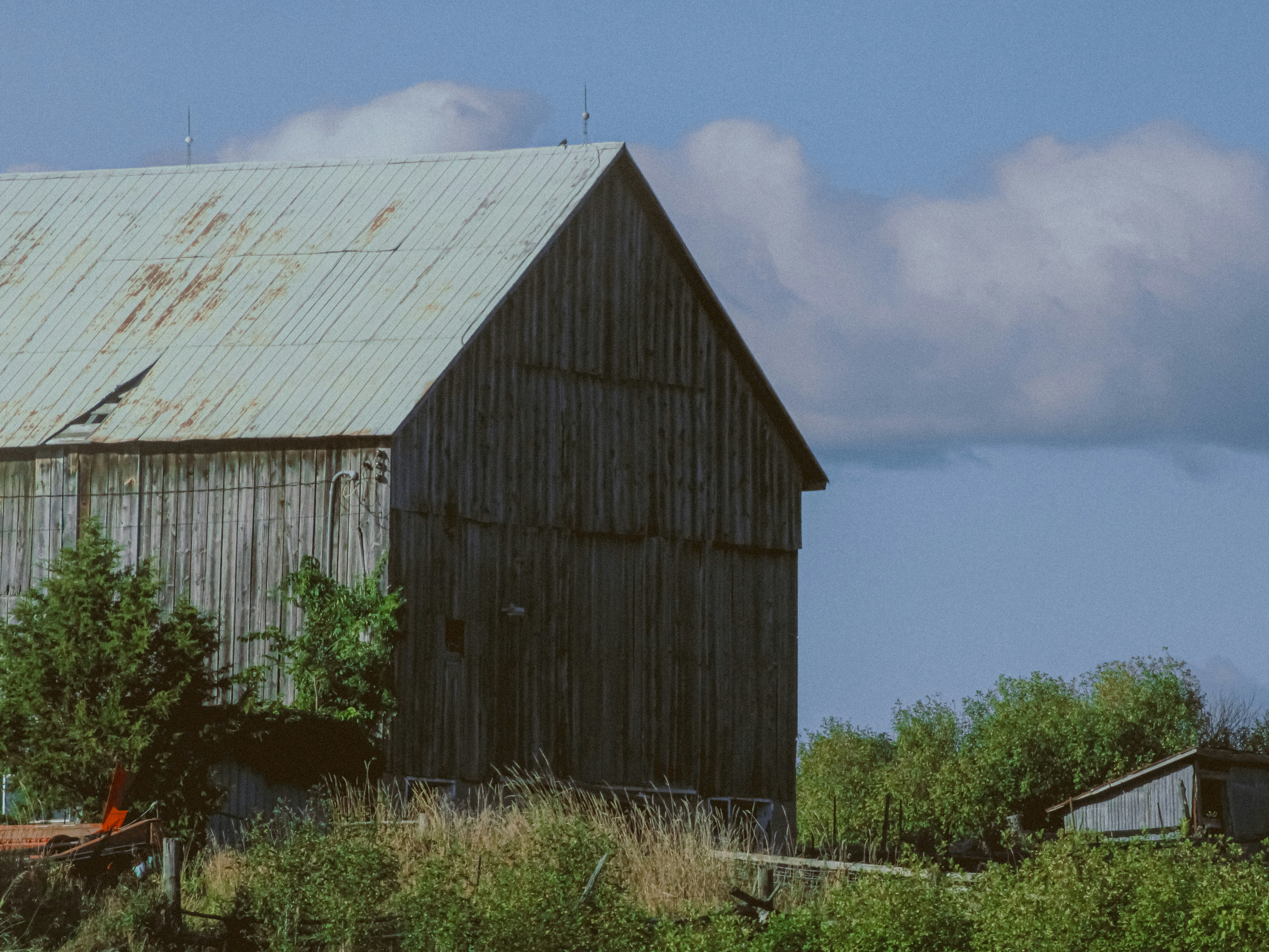 Photo by linusbelanger