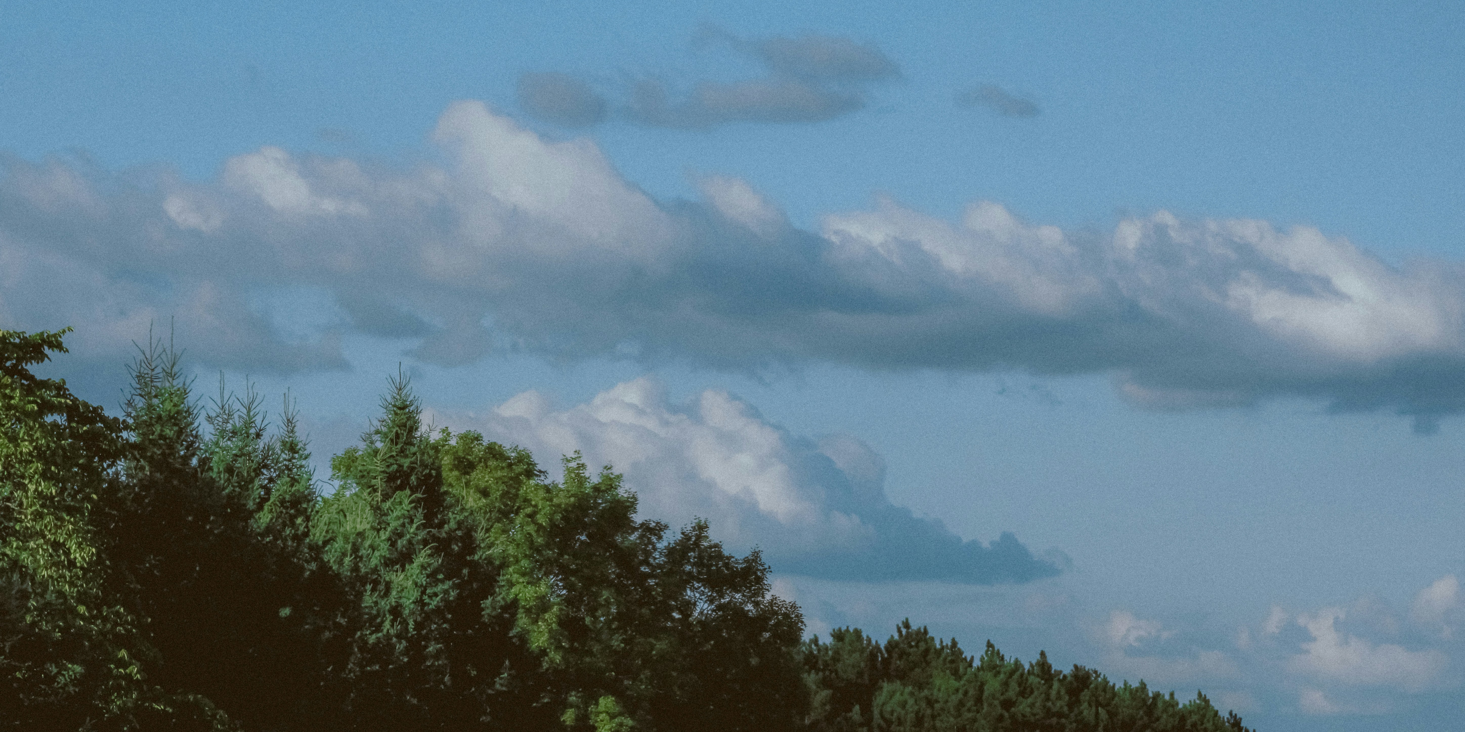 Photo by linusbelanger